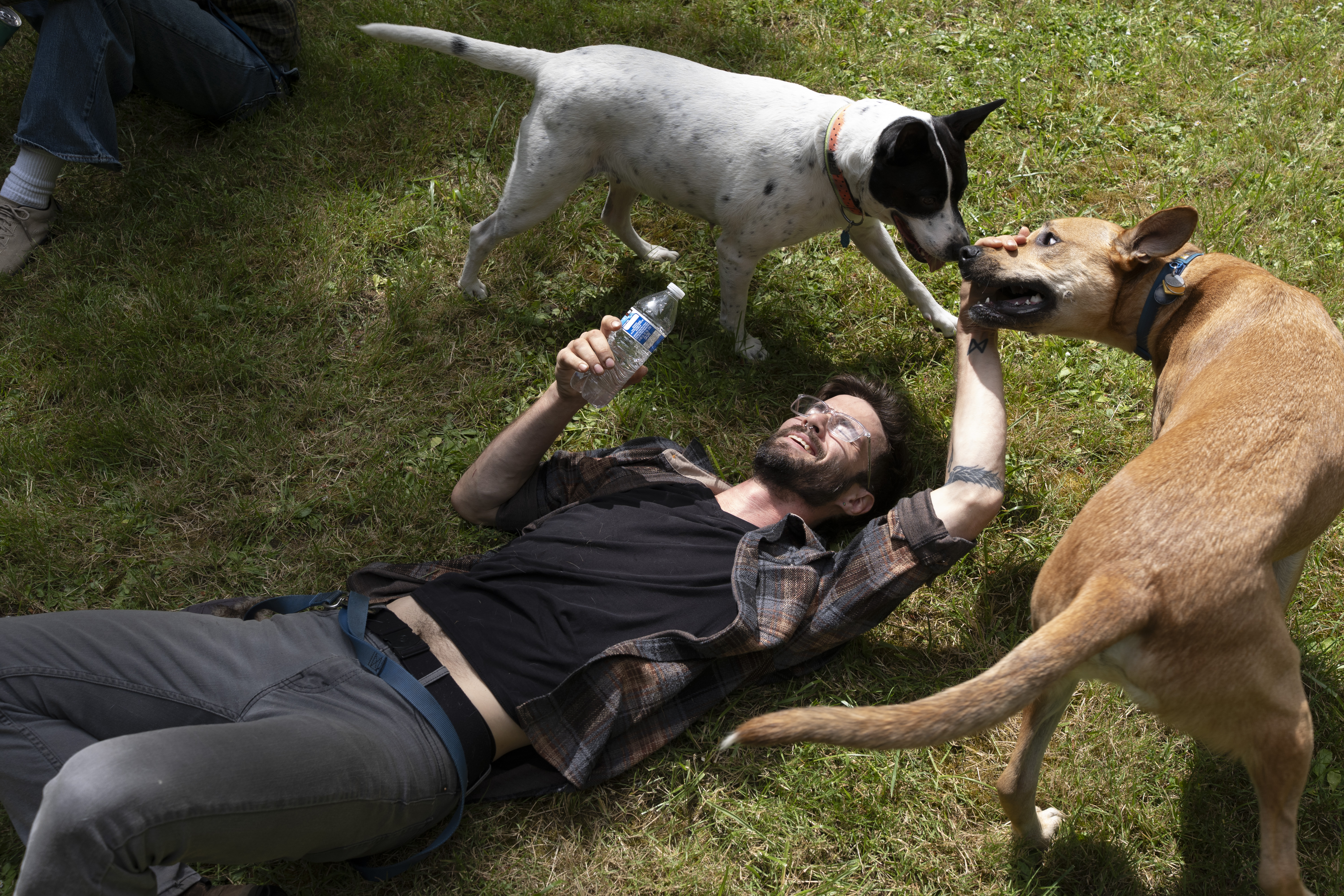 Christian Strand lies on the ground and plays with dogs Lilly Billy, top left, and Bean during the filming of the reality dating show "Fetching" on Sunday, June 7, 2026 in Hillsboro, Ore.