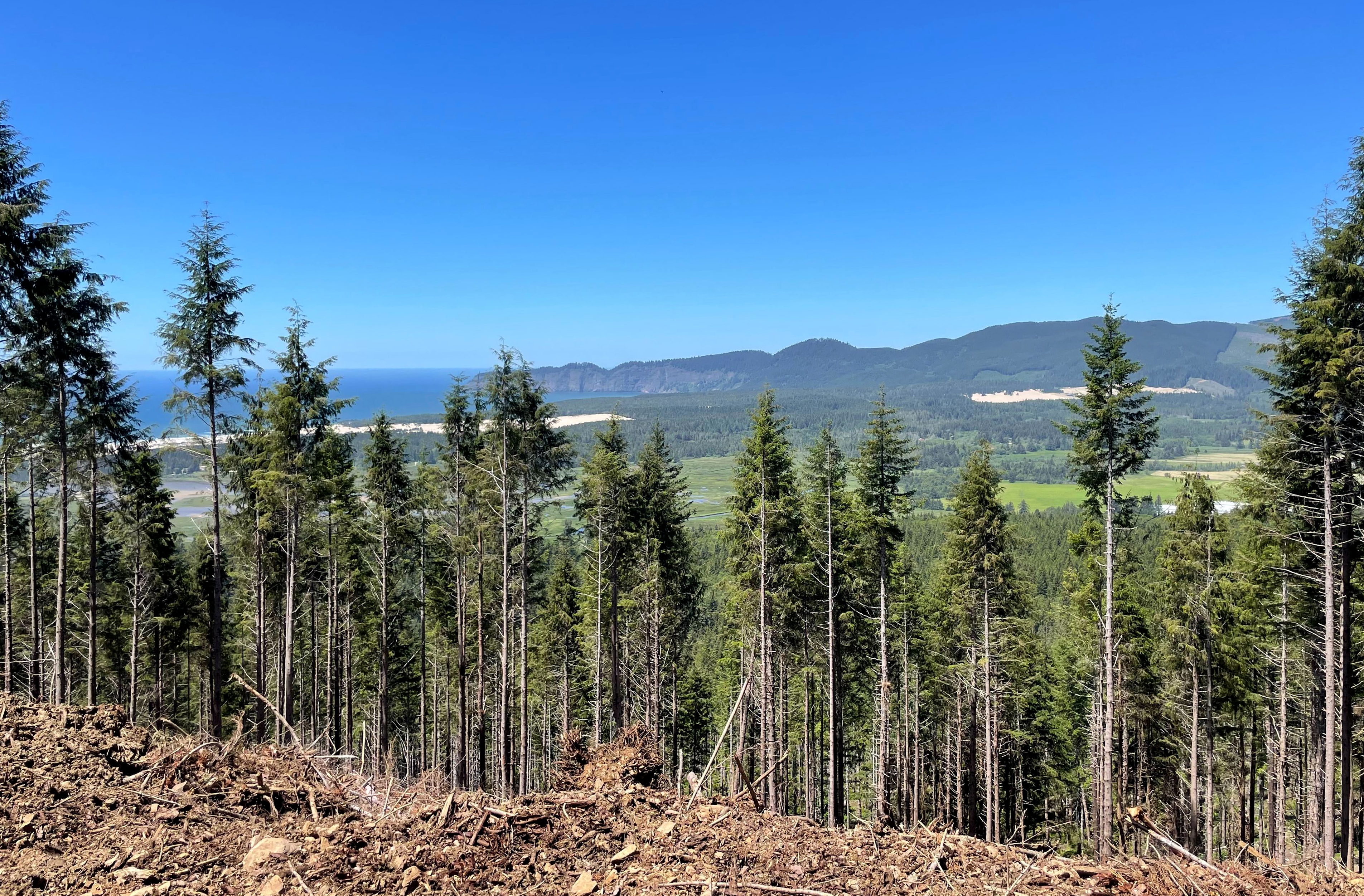 The Sandlake area, pictured here, includes lush forests, sea cliffs, sand dunes and a sprawling estuary. The U.S. Forest Service is in the final stages of approving a mountain biking system here that could draw large amounts of people. Locals fear it could overwhelm the area's residents and environment. Others believe this is the ideal place to mountain bike year-round.