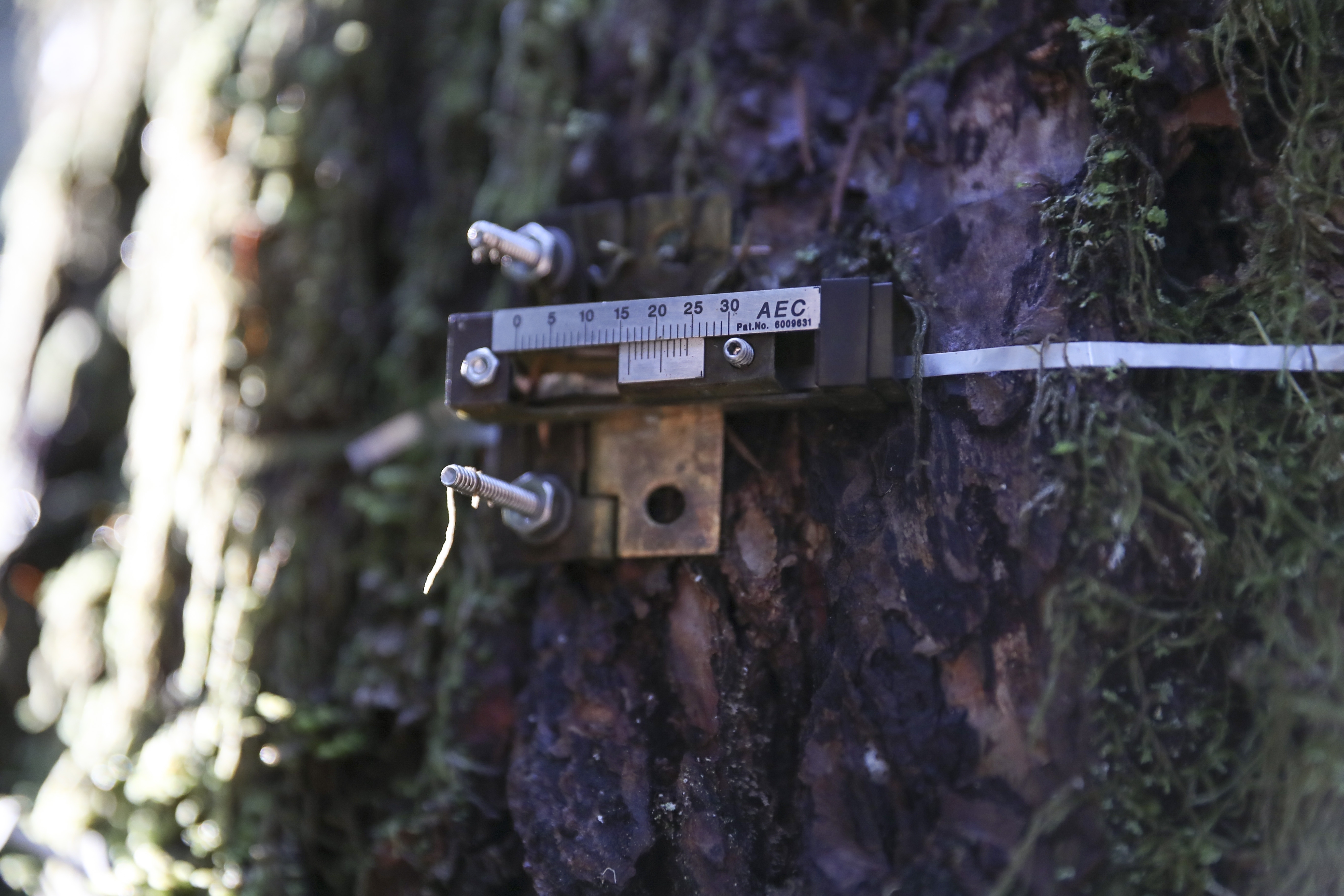 Portland police gift toy tool set to boy shot by nail gun