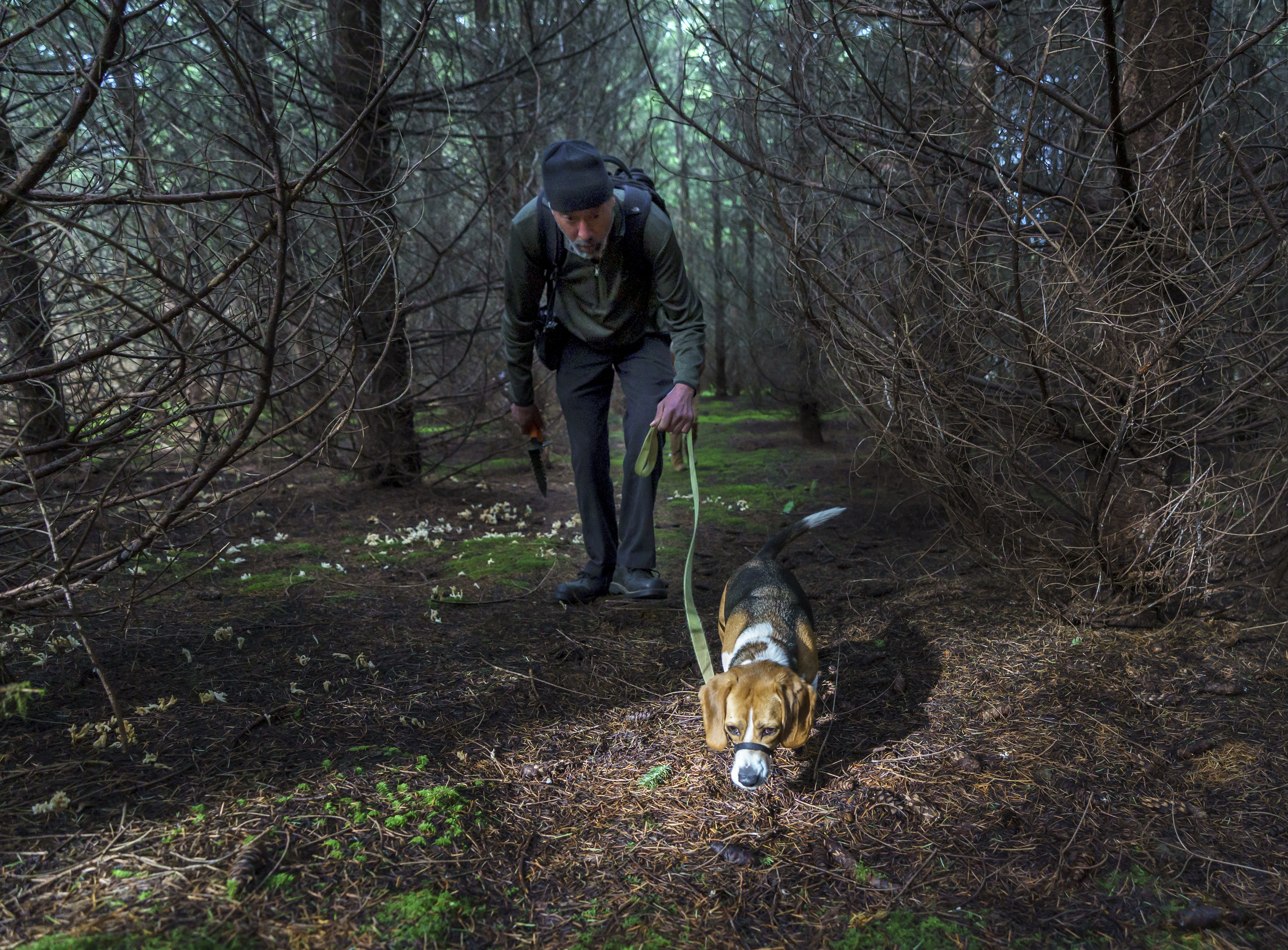 Oregon Mushers And Sled Dogs Share A Bond Forged In Miles - OPB
