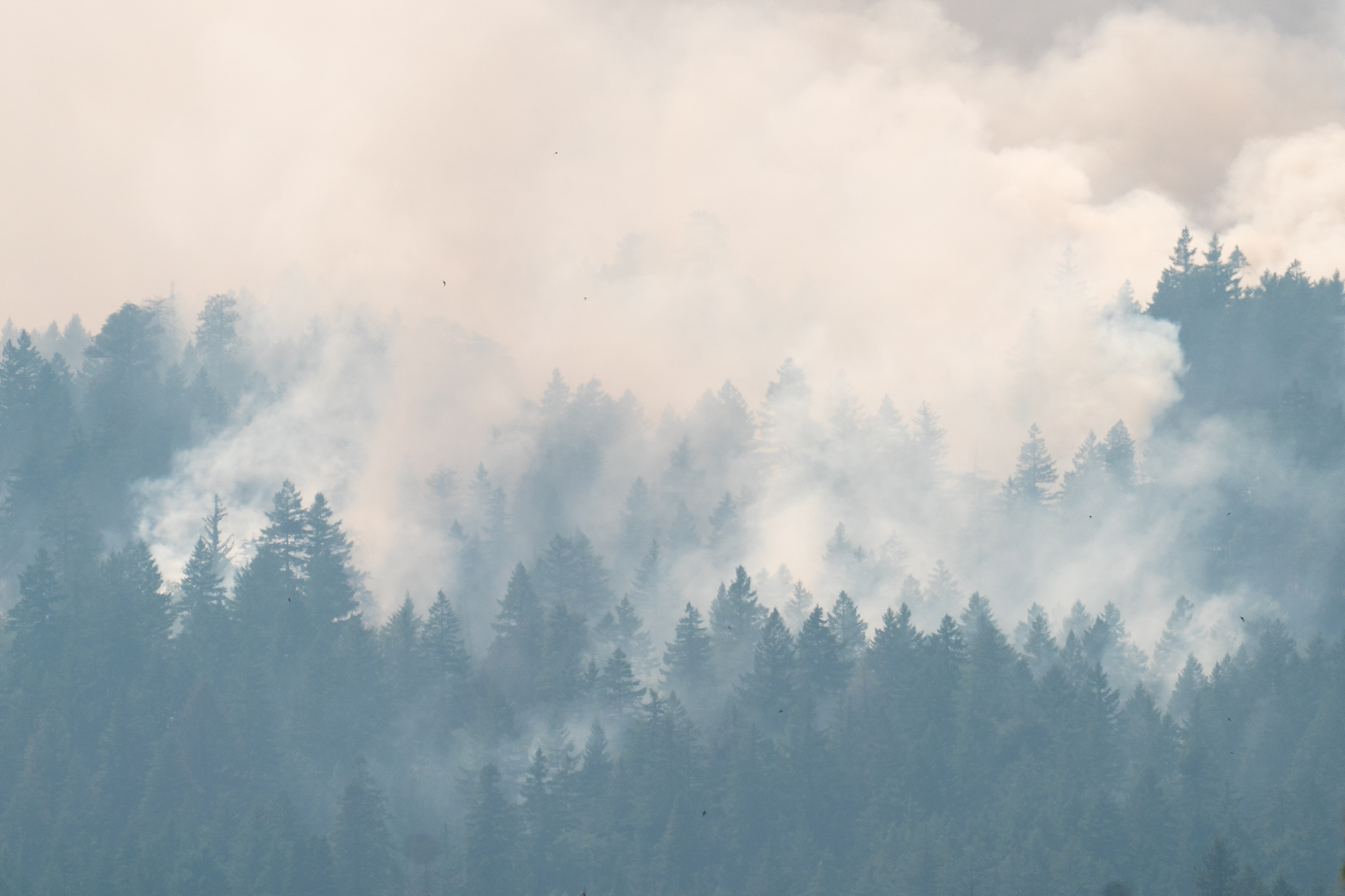 The Grasshopper Fire burns west of Friend, Ore., Aug 3, 2026.