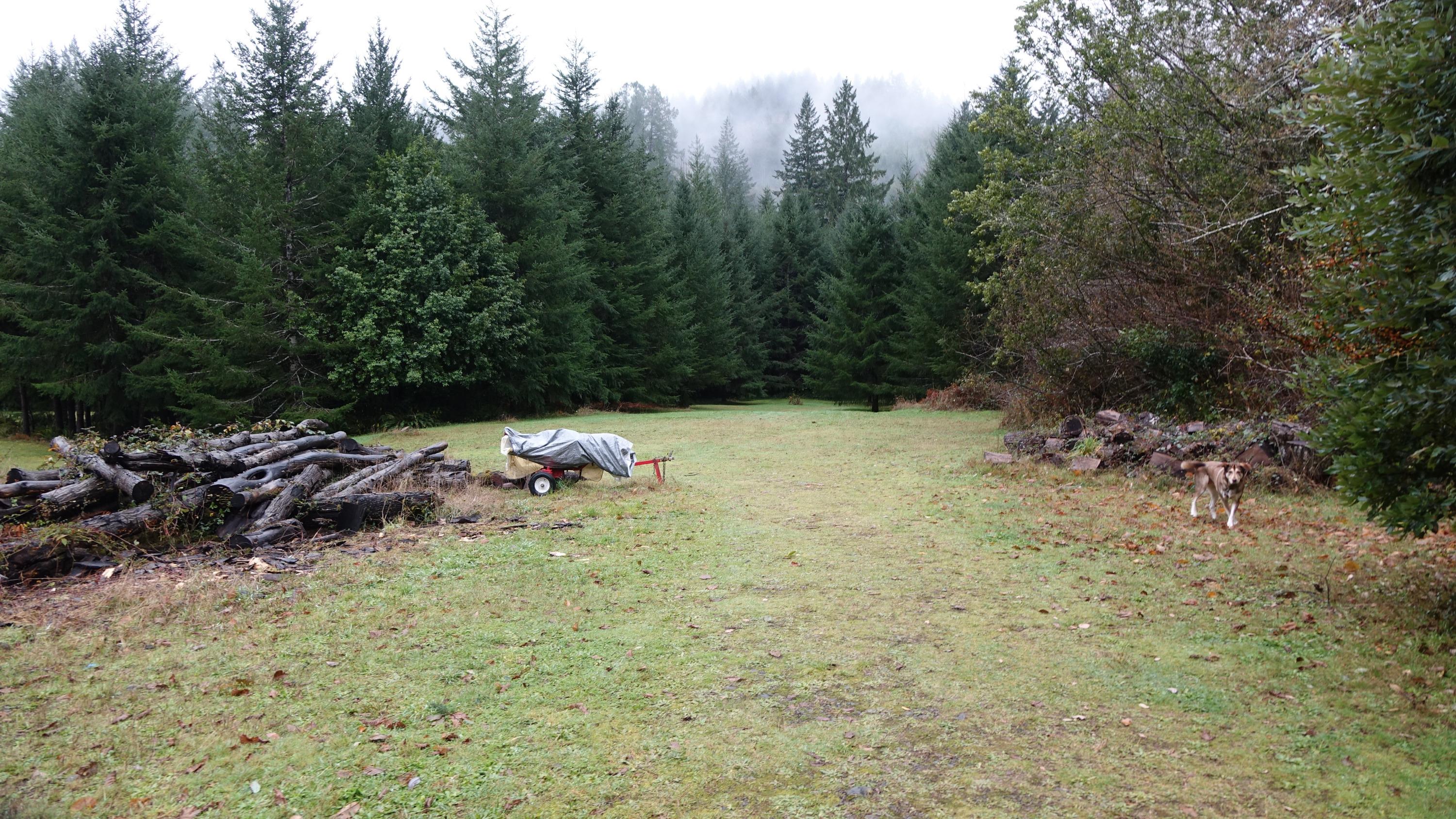 When Cilde Grover was growing up, this pasture was open all the way to Winchuck River.  Now the trees are taking over.