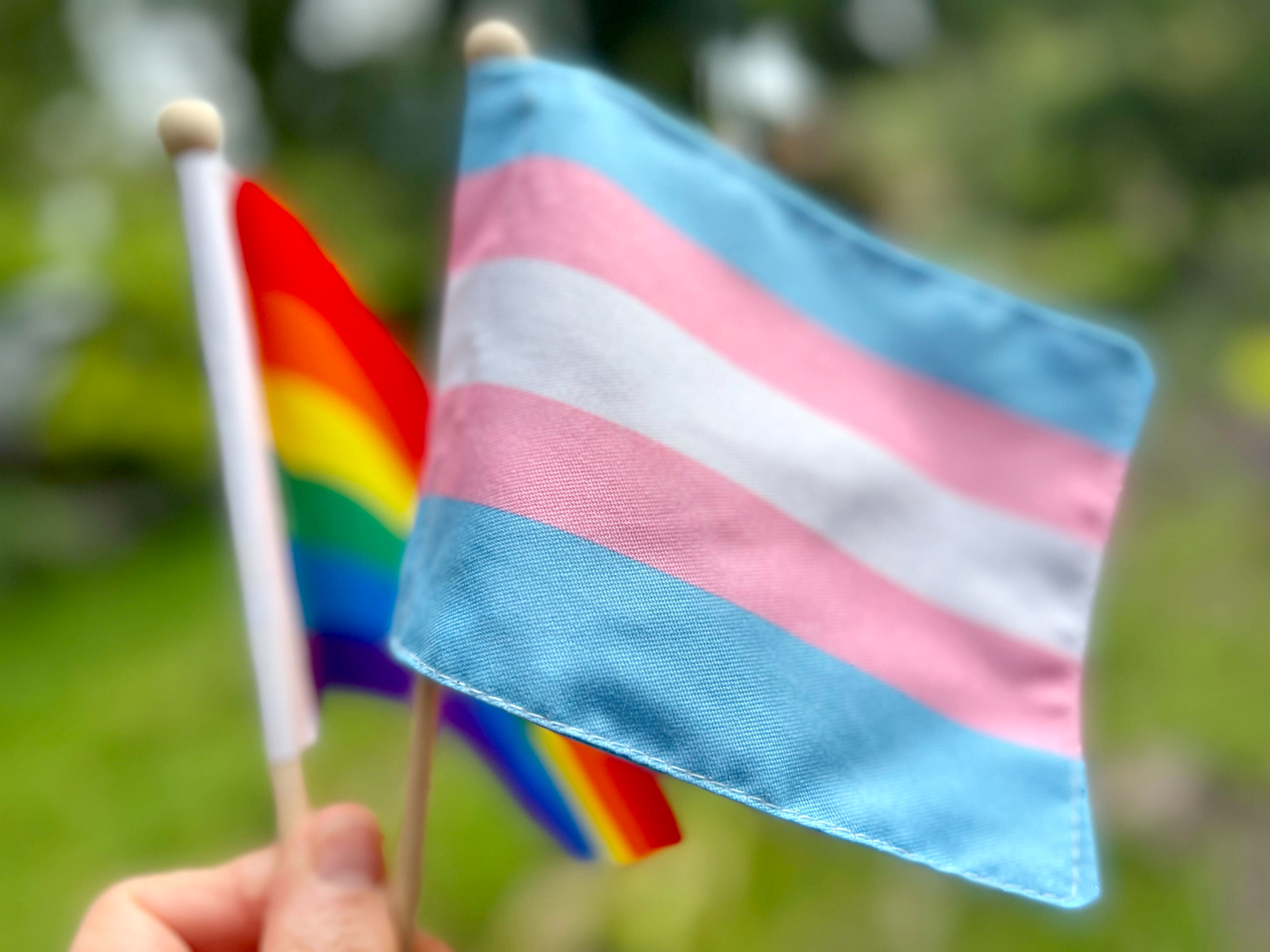 The Transgender Pride Flag