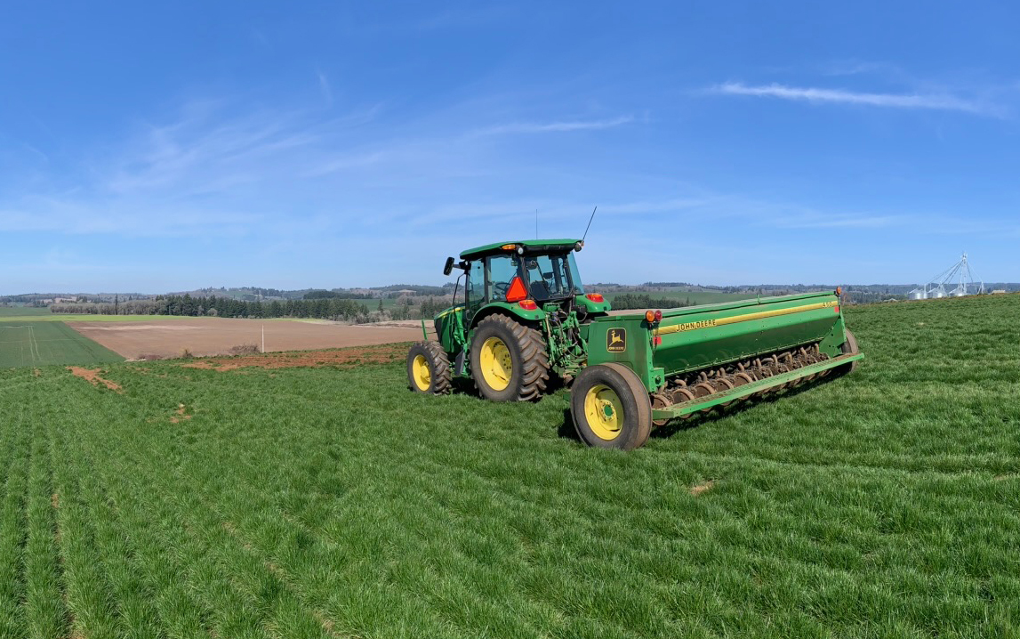 How Oregon grass made it to the World Cup