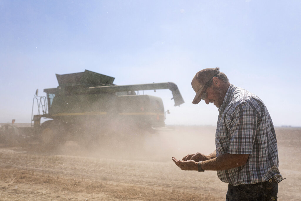 In dry West, farmers balk at idling land to save water