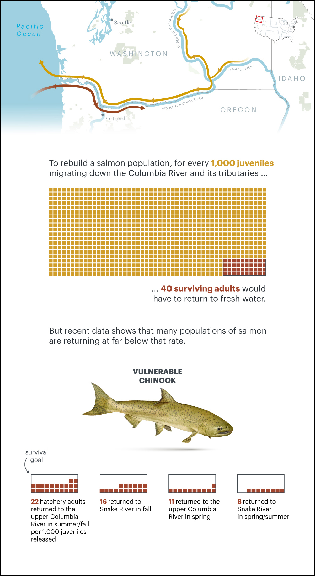 Note: Survival rates are for four vulnerable populations of Chinook salmon that were released from hatcheries between 2014 and 2018, the most recent years for which complete data is available. Source: Columbia Basin Research estimates, map data (c) OpenStreetMap contributors.