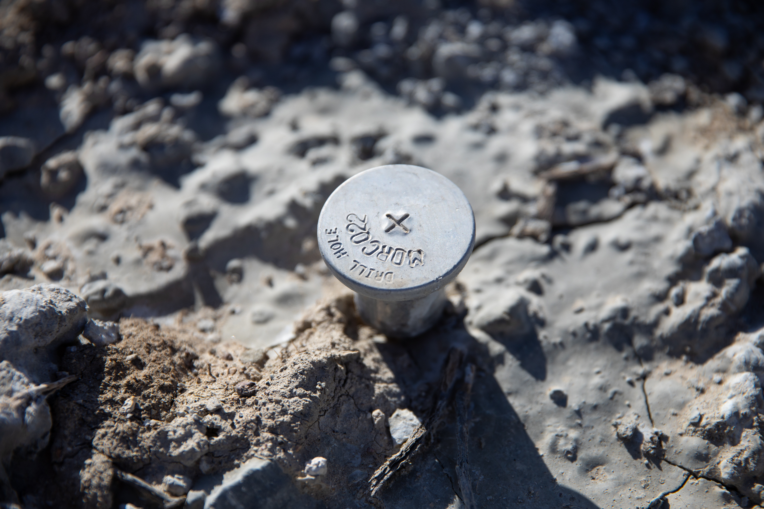 Mysterious, Sludgy Bags of Chia Seeds Found on Central Oregon Coast