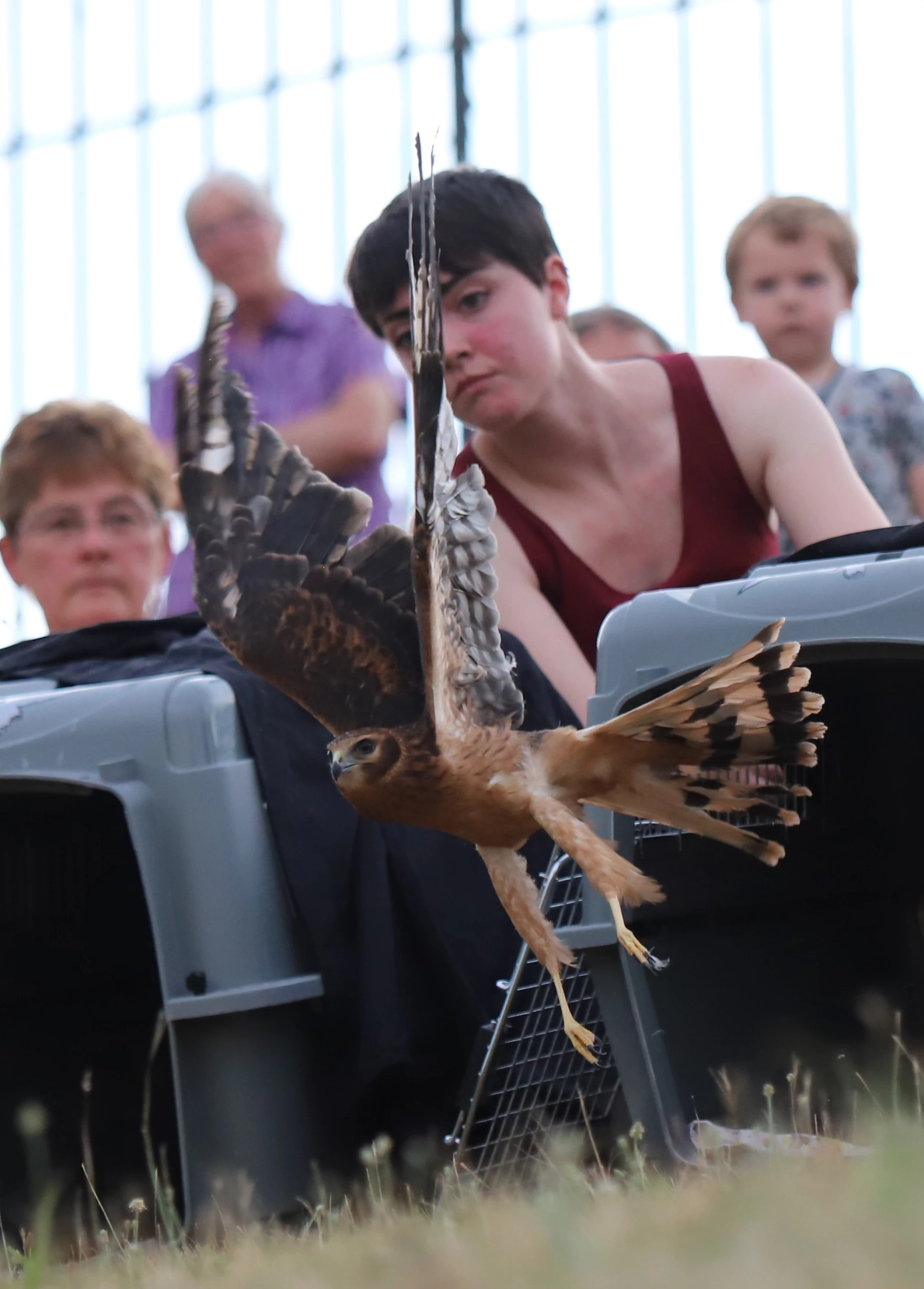 Birds of Prey: A New Meaning To Wine Flights