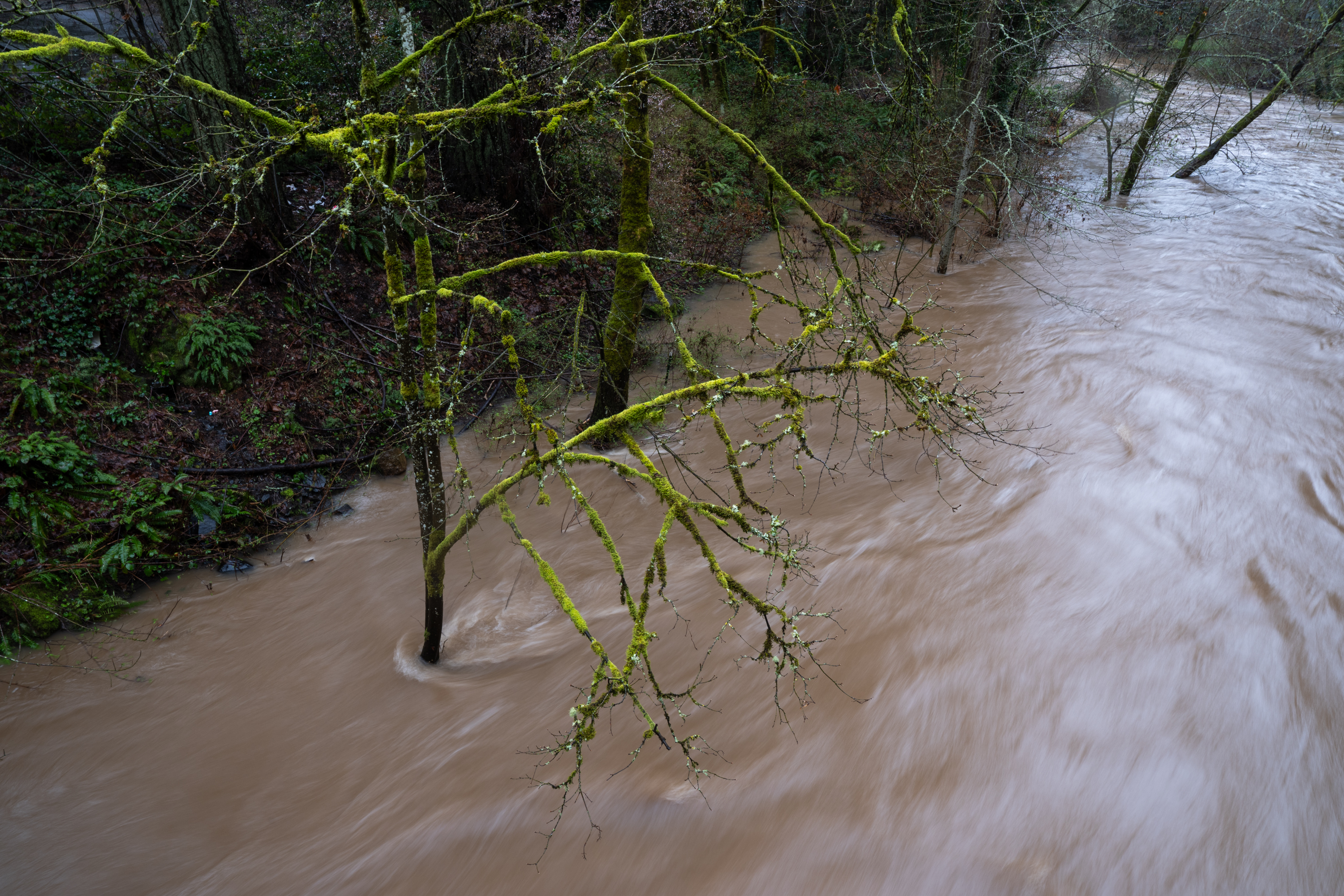 Flooding issues remain in northwest Oregon and Southwest Washington as ...