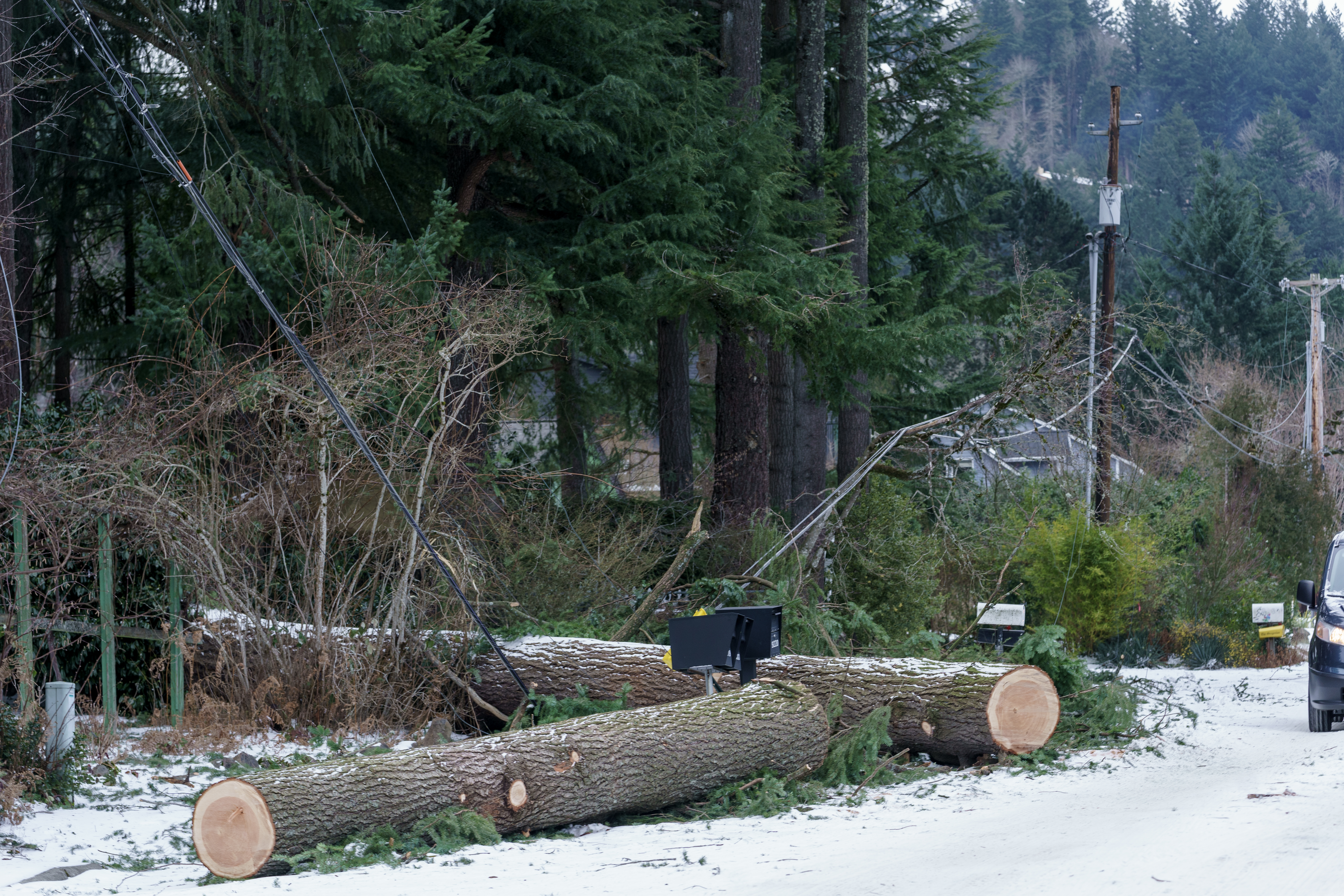 Downed trees and power lines, along Southwest Taylor Street near 90th Avenue in Portland, as seen on Sunday, Jan. 15, 2024. The Portland metro area is facing difficult conditions including downed trees and power lines and icy roads.