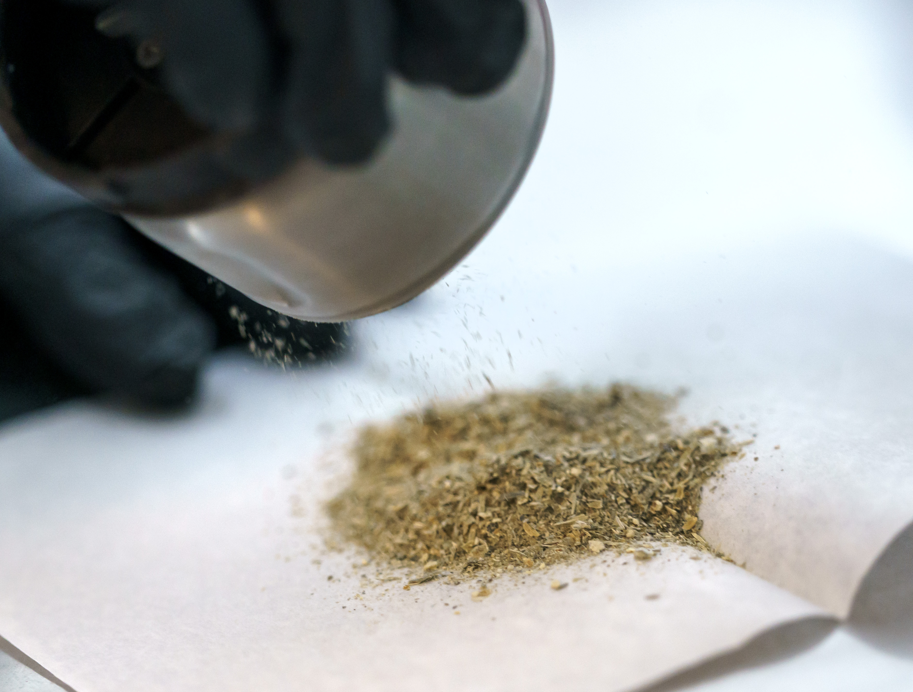 FILE - Psilocybin mushrooms are ground up in the testing process at Rose City Laboratories, March 17, 2023.
