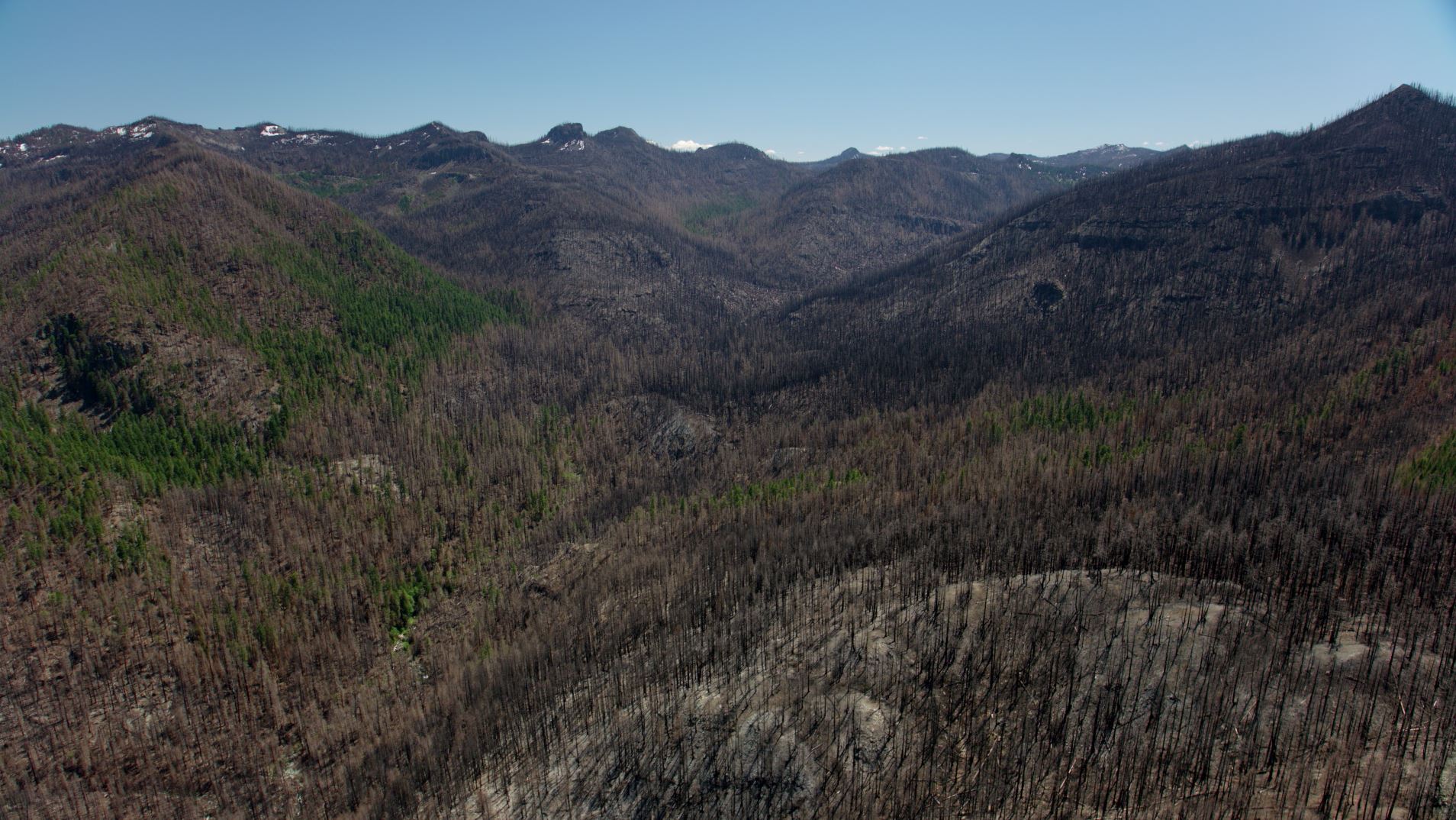 This file photo from June 2021 shows an aerial view of the forest surrounding Jawbone Flats, where the Beachie Creek Fire burned nearly 200,000 acres. Wildfires don't burn consistently across the landscape; they often leave behind patches of unburned trees.