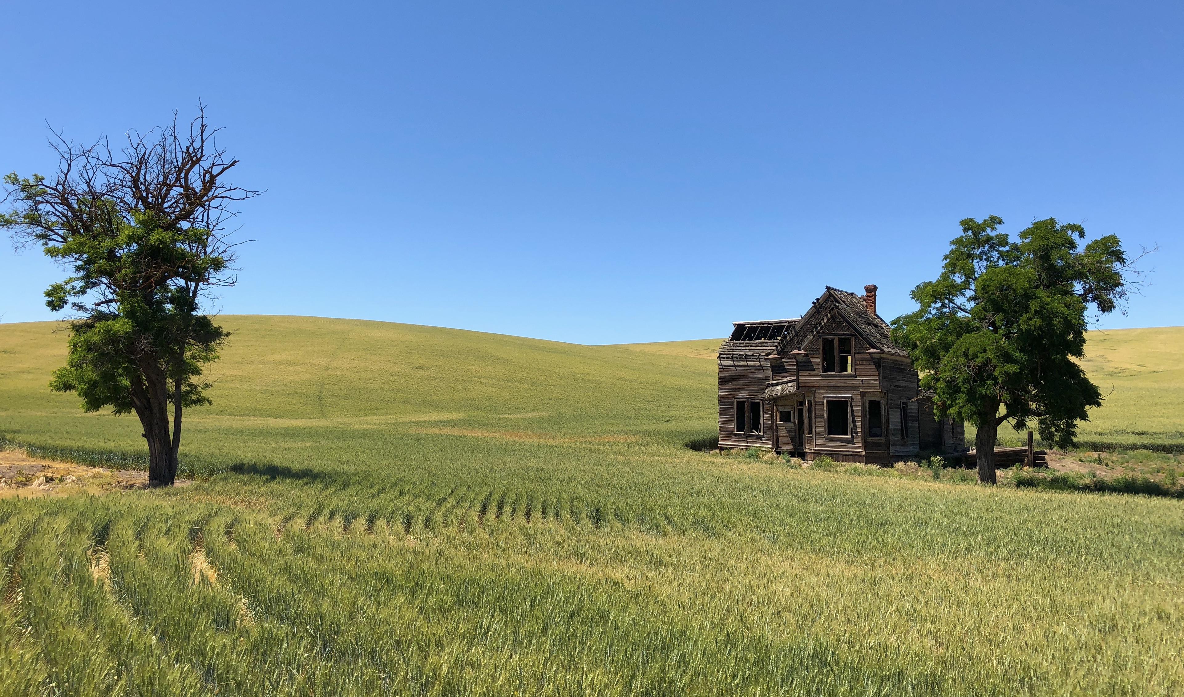 The Charles Nelson House sits alone in a field of wheat.