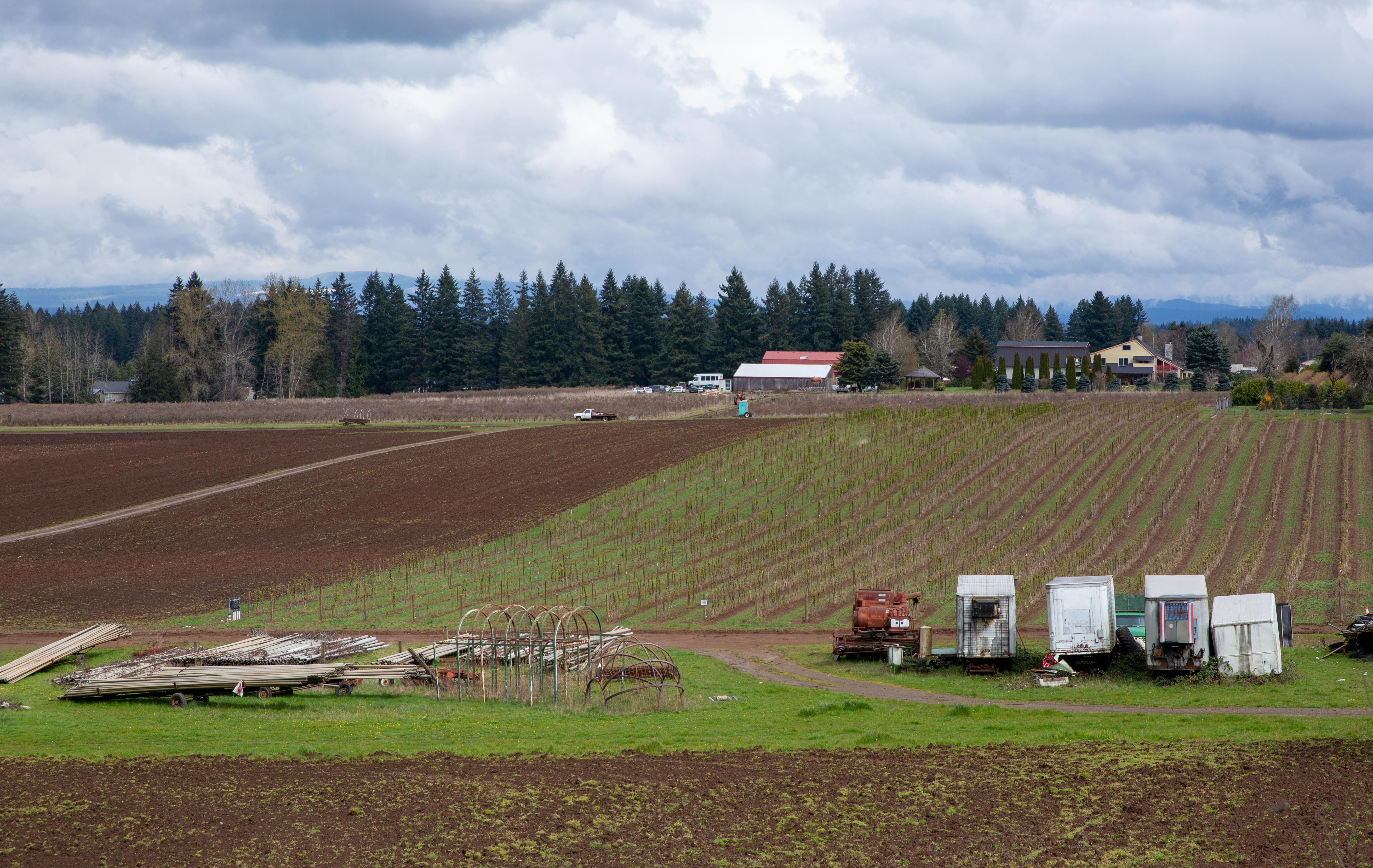 COVID-19 Considerations Bring Confusion, Uncertainty To Northwest Family  Farms - OPB