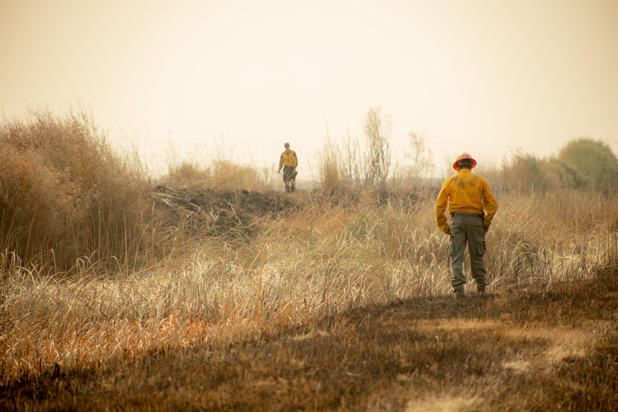 Wildfires burn parts of Malheur National Wildlife Refuge