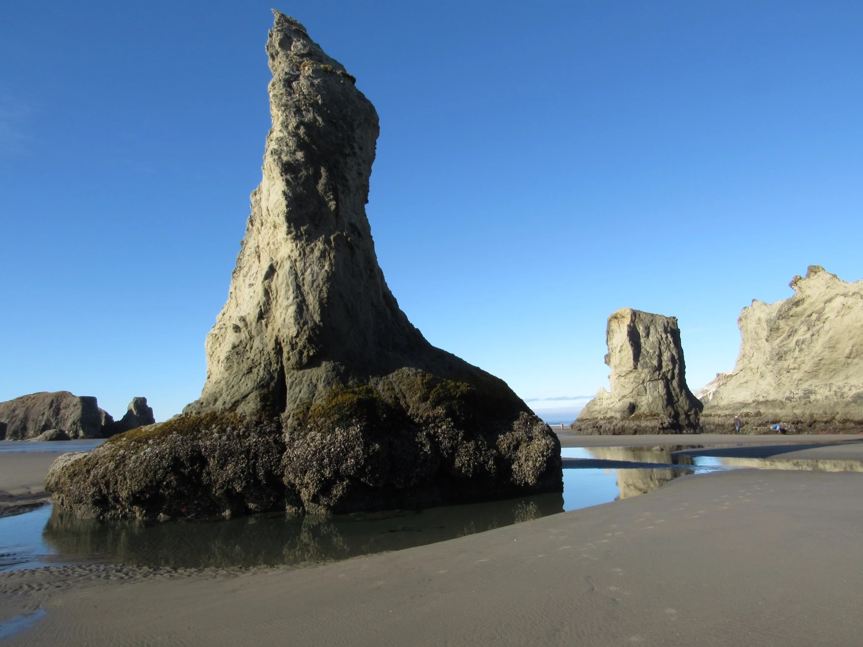 Giant rocks make homes for black oystercatcher nests on the shore in Bandon, Ore., on the southern Oregon Coast.