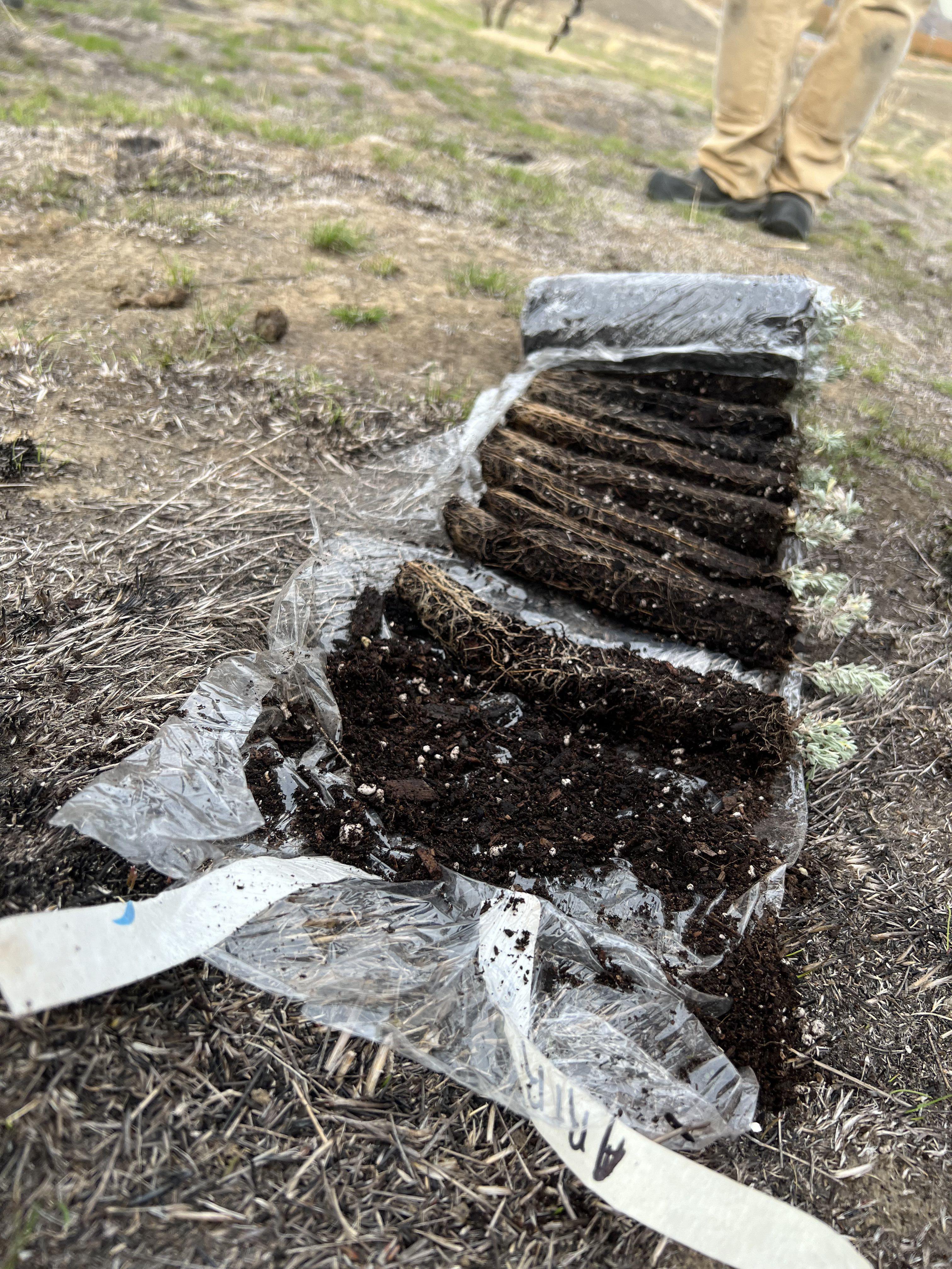 Extreme Composting At Standing Rock