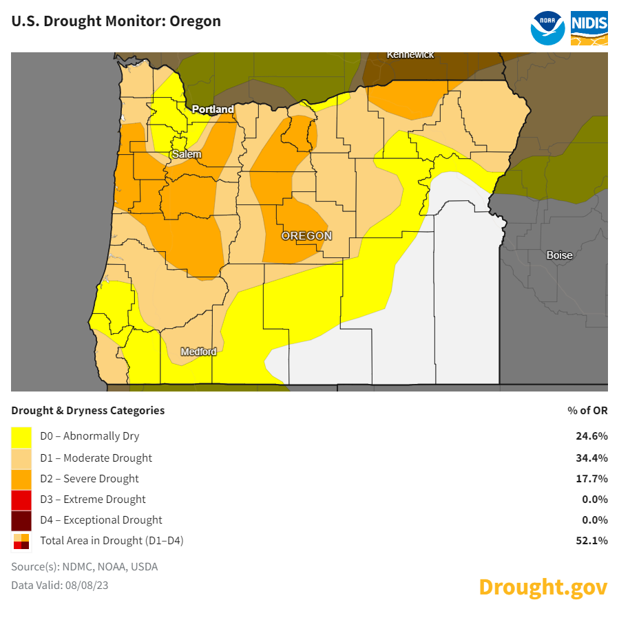 More than half of Oregon was in moderate to severe drought in July, according to data measured by the U.S. Drought Monitor.