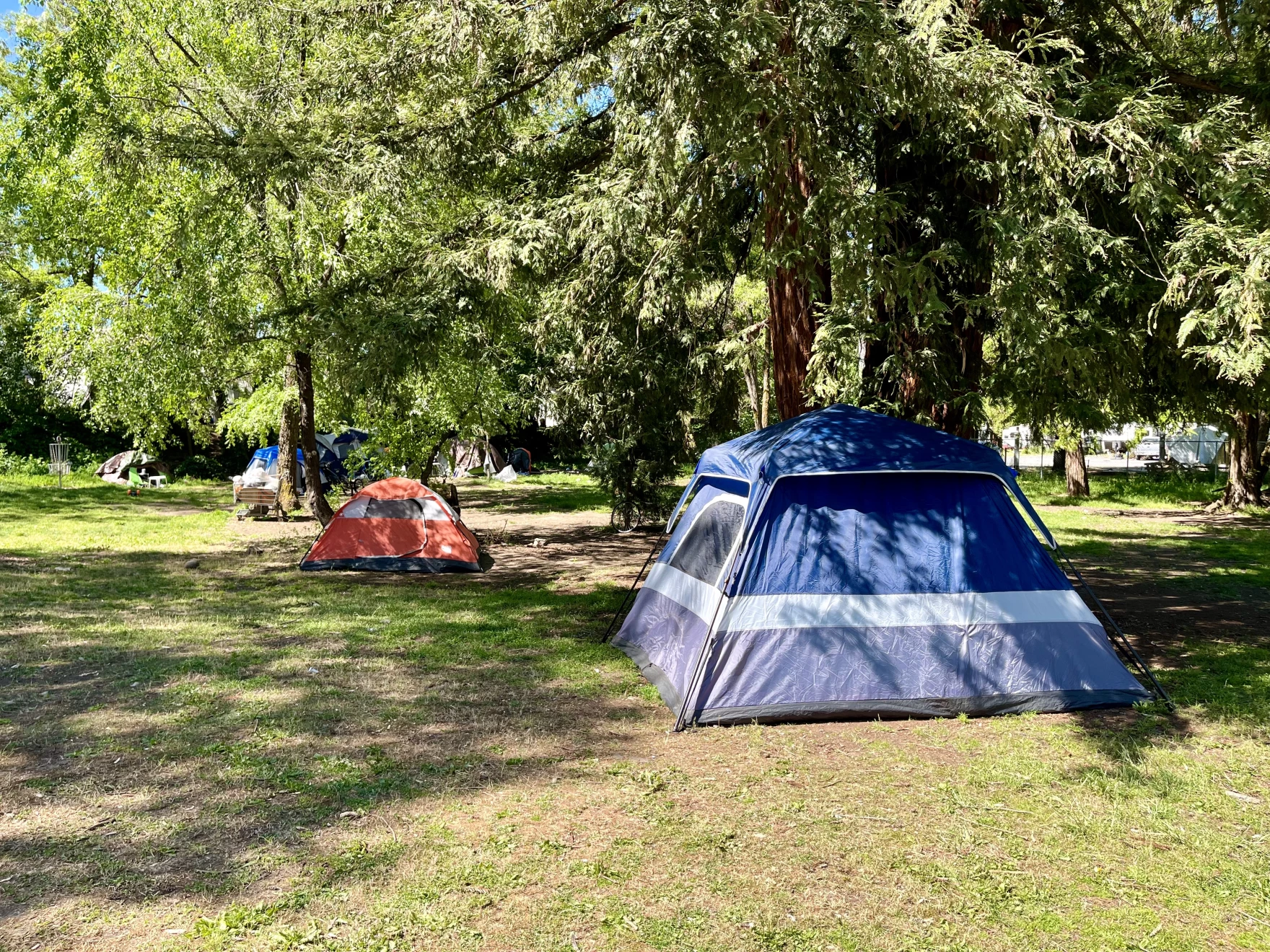 Tents in Grants Pass's Riverside Park in May 2024.