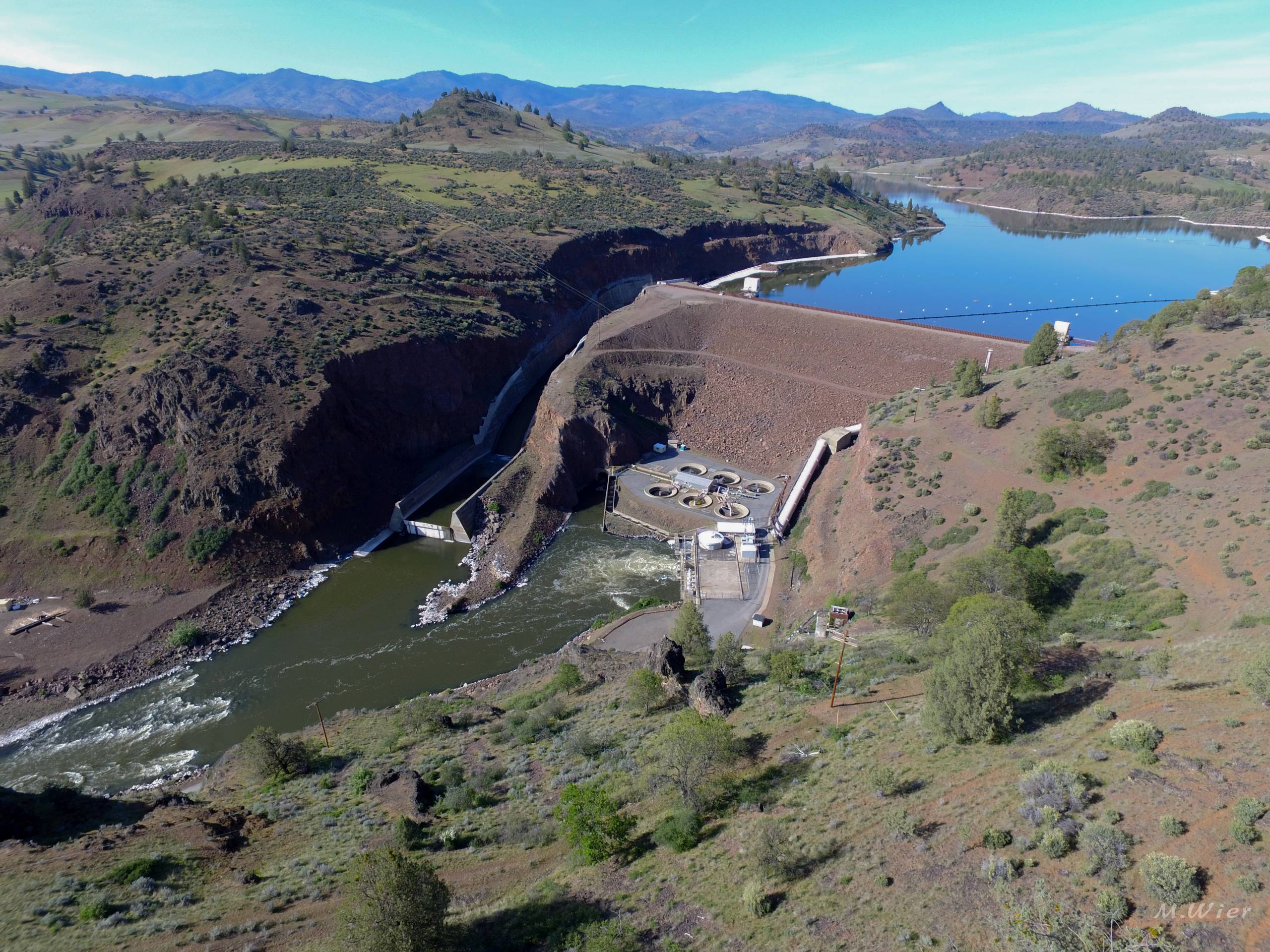 Southern Oregon dam operators now face water pollution fines on top of  millions for fish kills - OPB
