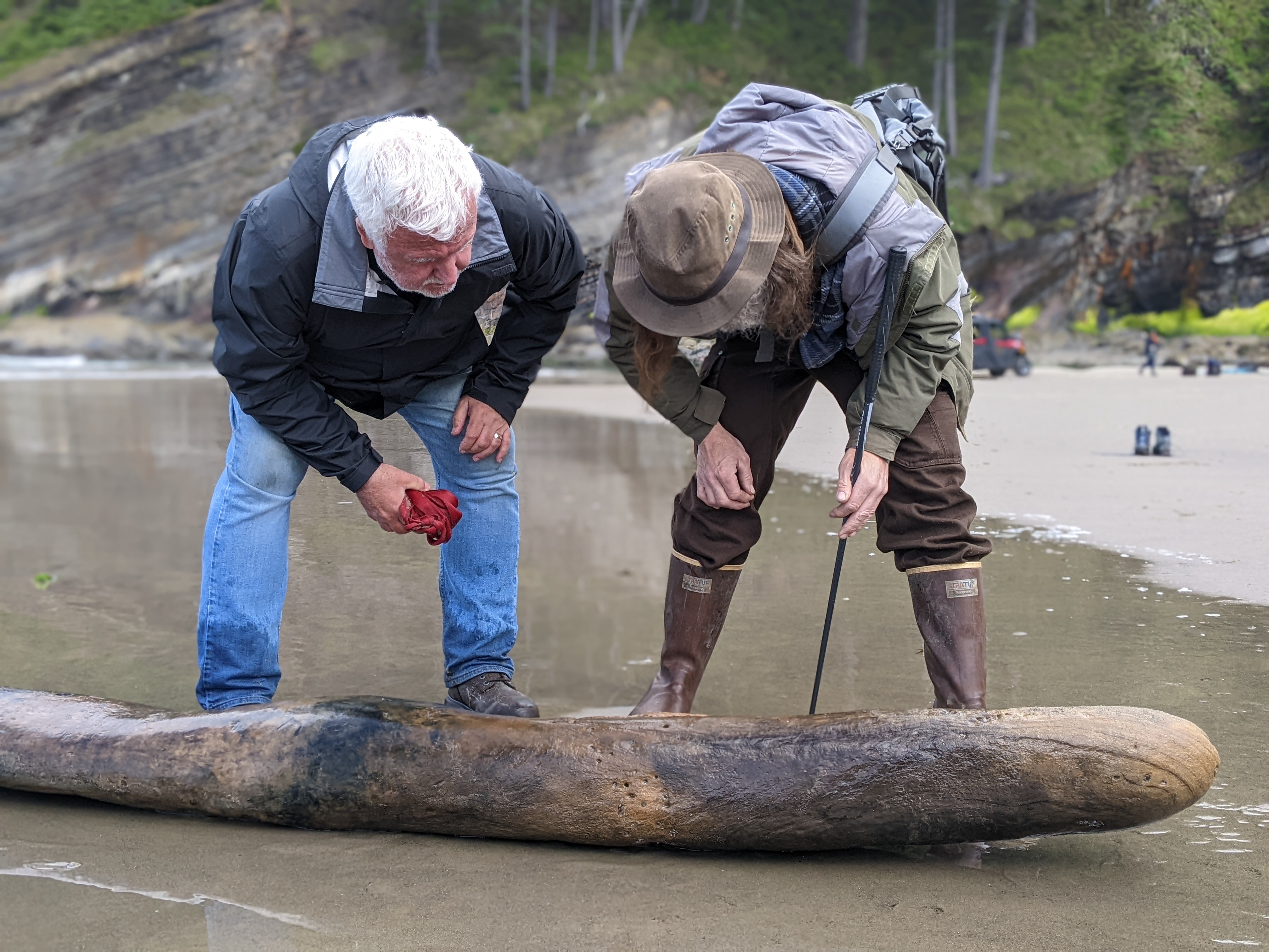 Timbers from famed Beeswax shipwreck found on the northern Oregon