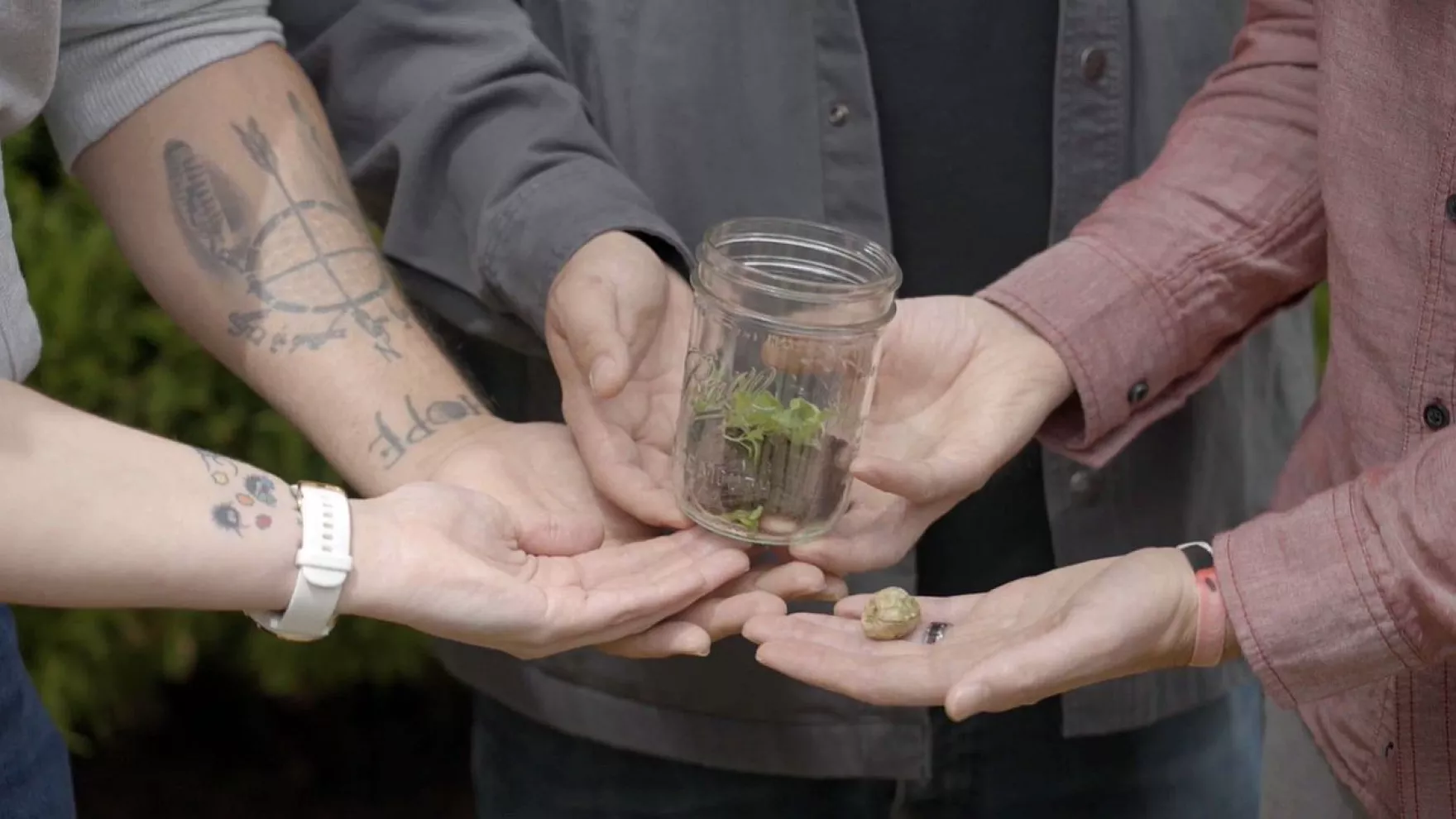 The Facts About National Indigenous History Month: Smudging Revealed ...