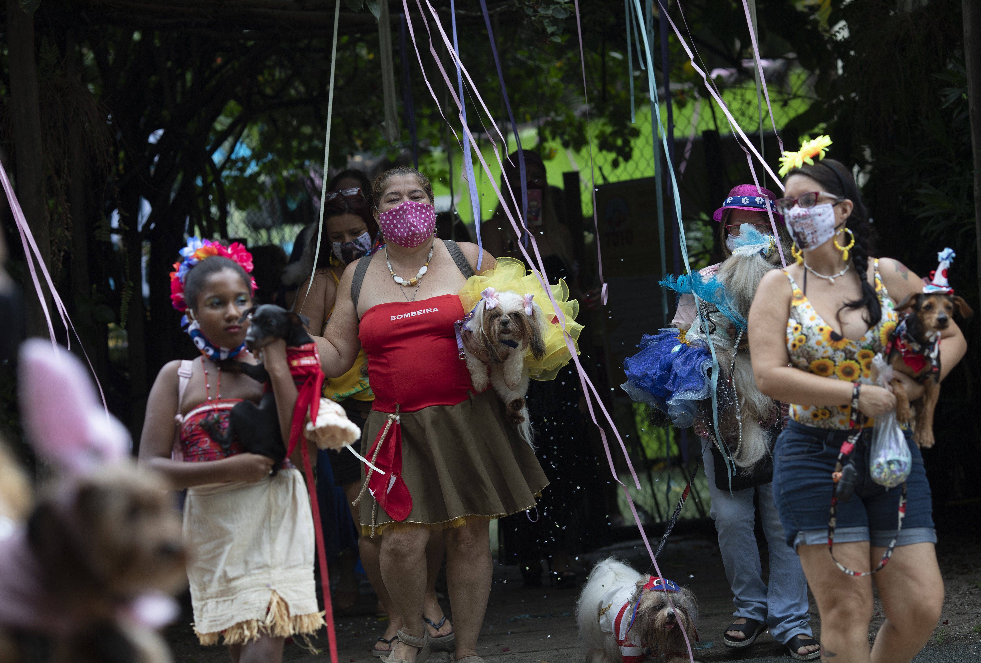 Human Festivities Scrapped Rio S Carnival Goes To The Dogs Opb