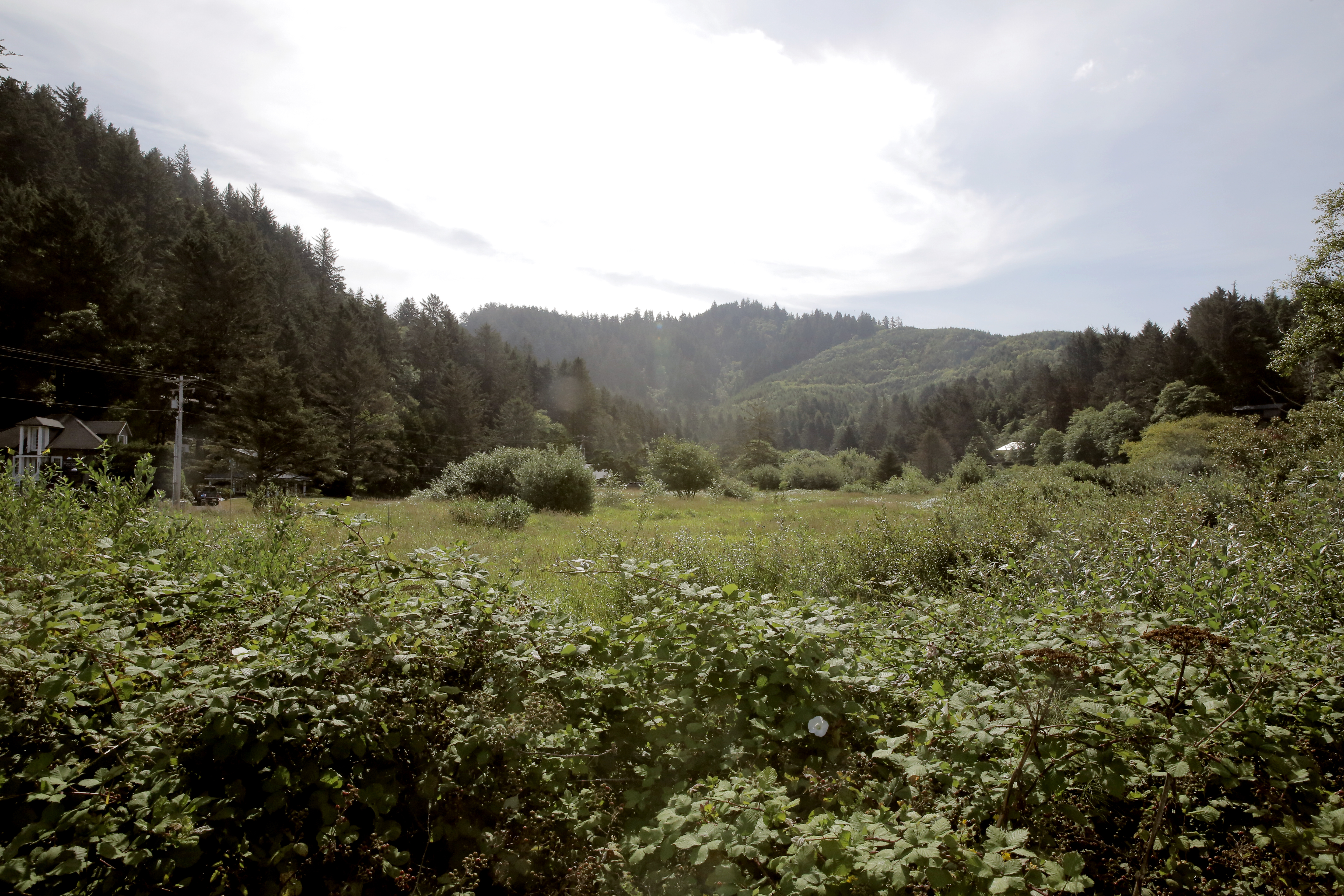 The valley in Neskowin through which Hawk Creek flows. Aug. 5, 2025