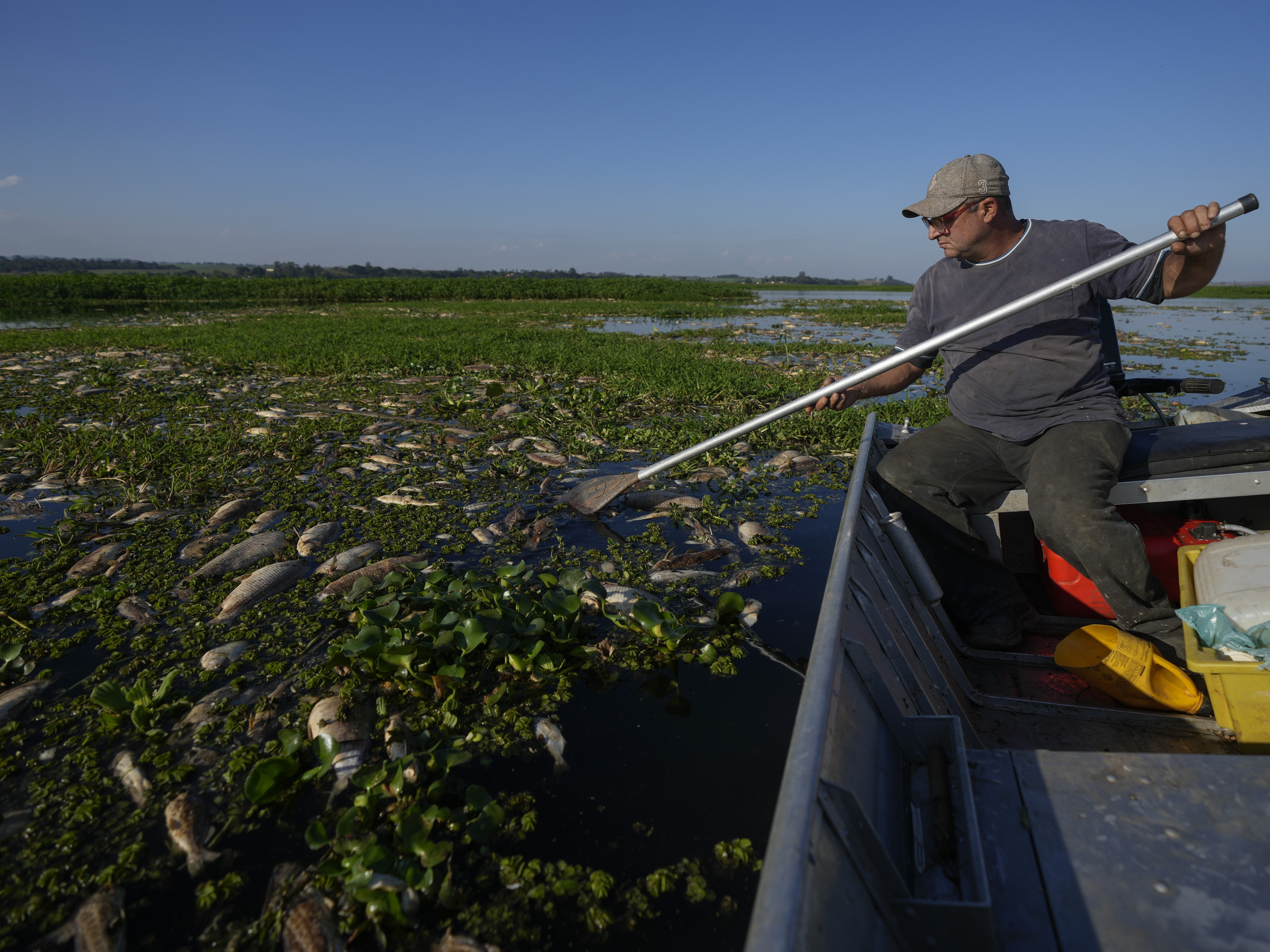 Tons of dead fish cover a river in Brazil after alleged dumping of 