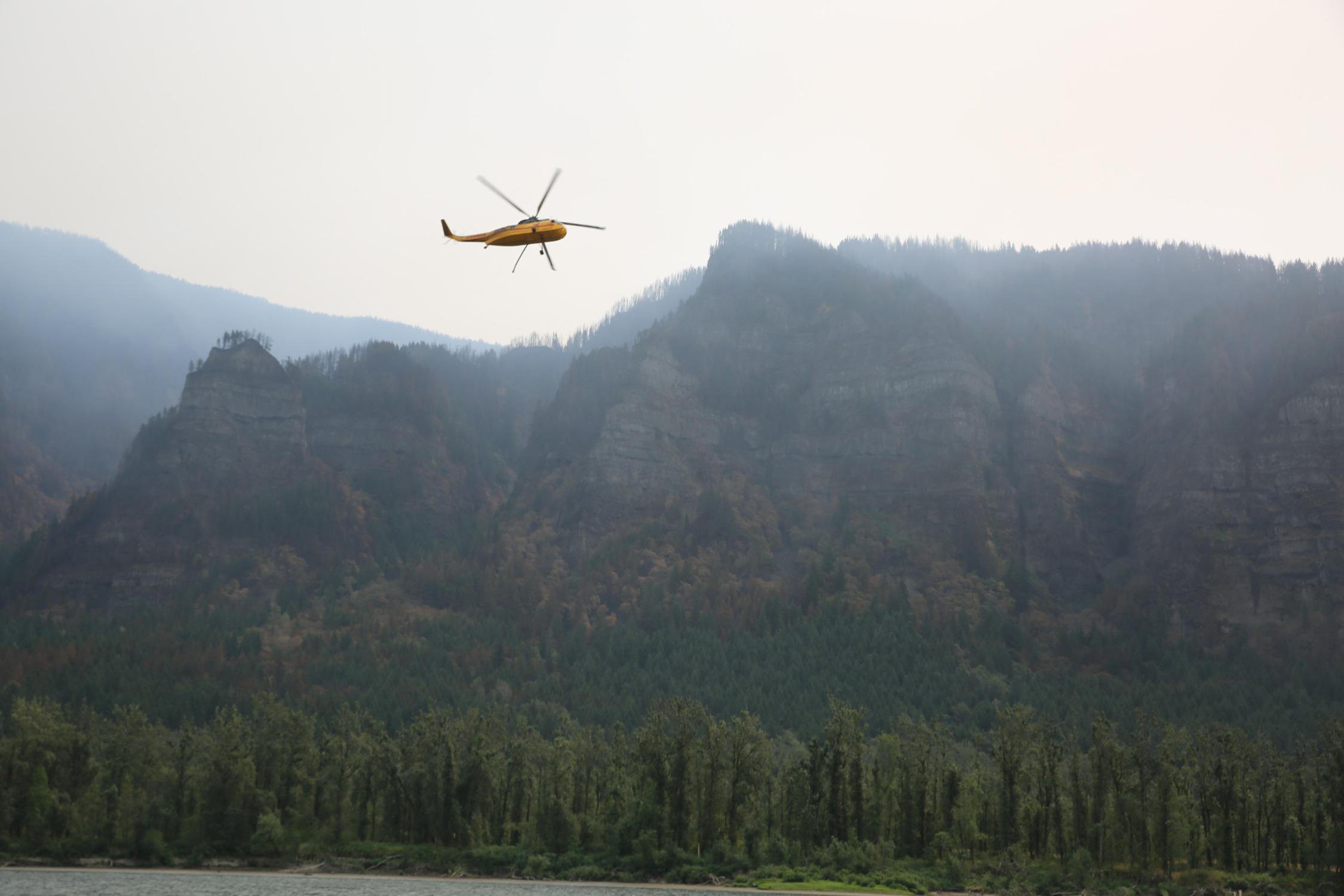 Forest along the Columbia River Gorge looks a little like a calico cat, with patches of lush green, dried green and scorched black trees.