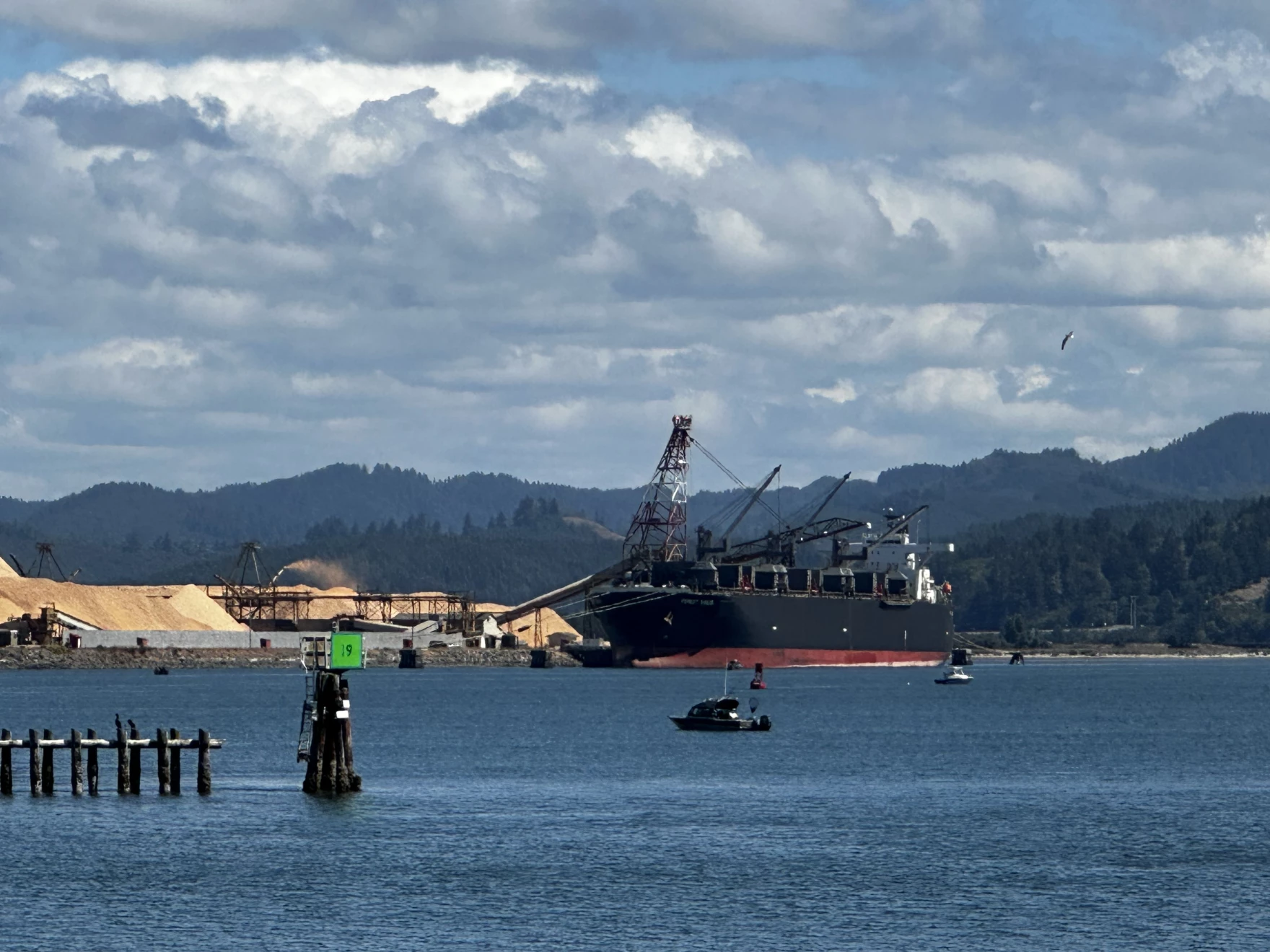 Coos Bay officials try again for federal Mega Grant - OPB