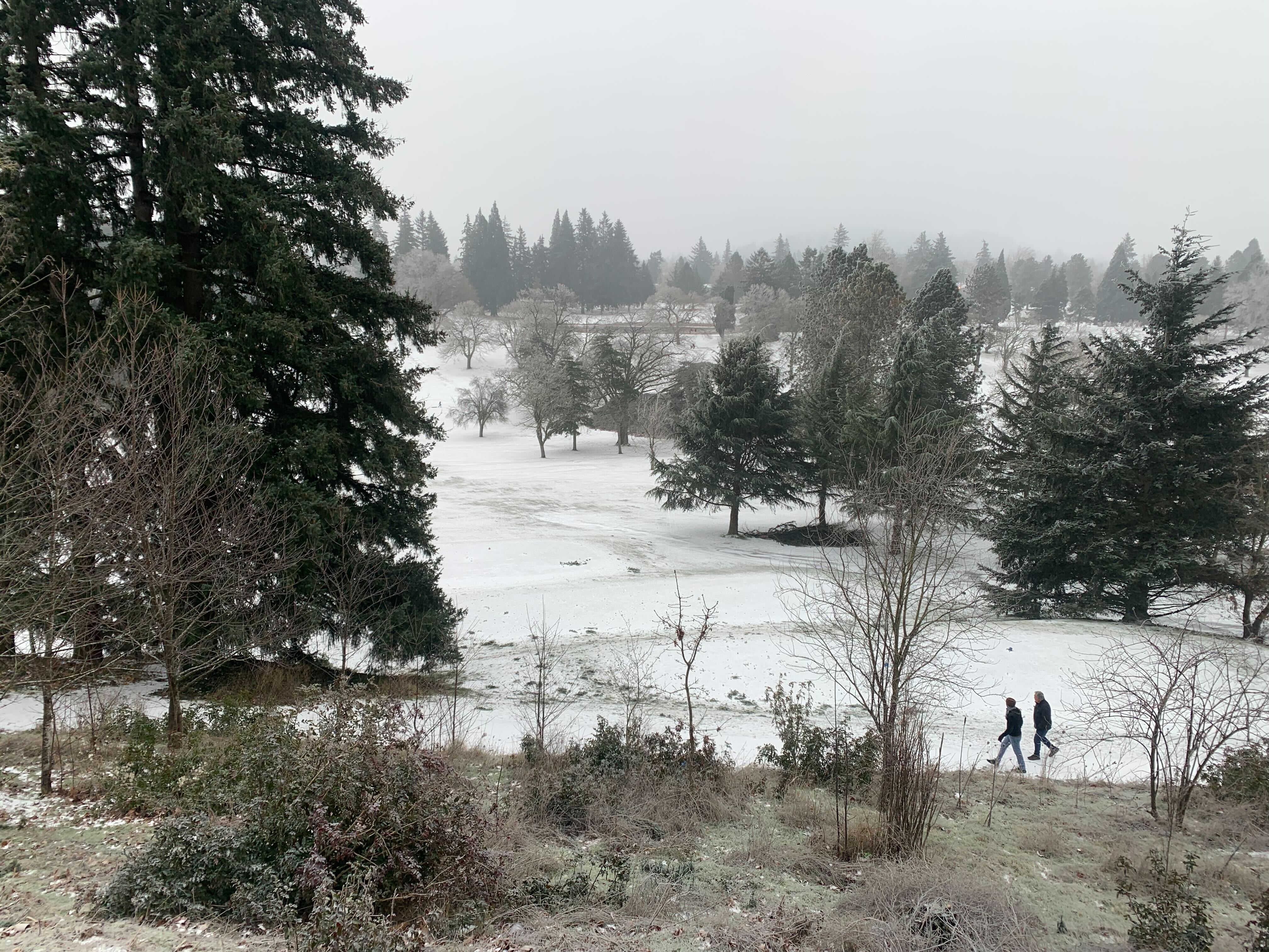 Columbia Gorge, Hood River Valley brace for ice storm this weekend - OPB