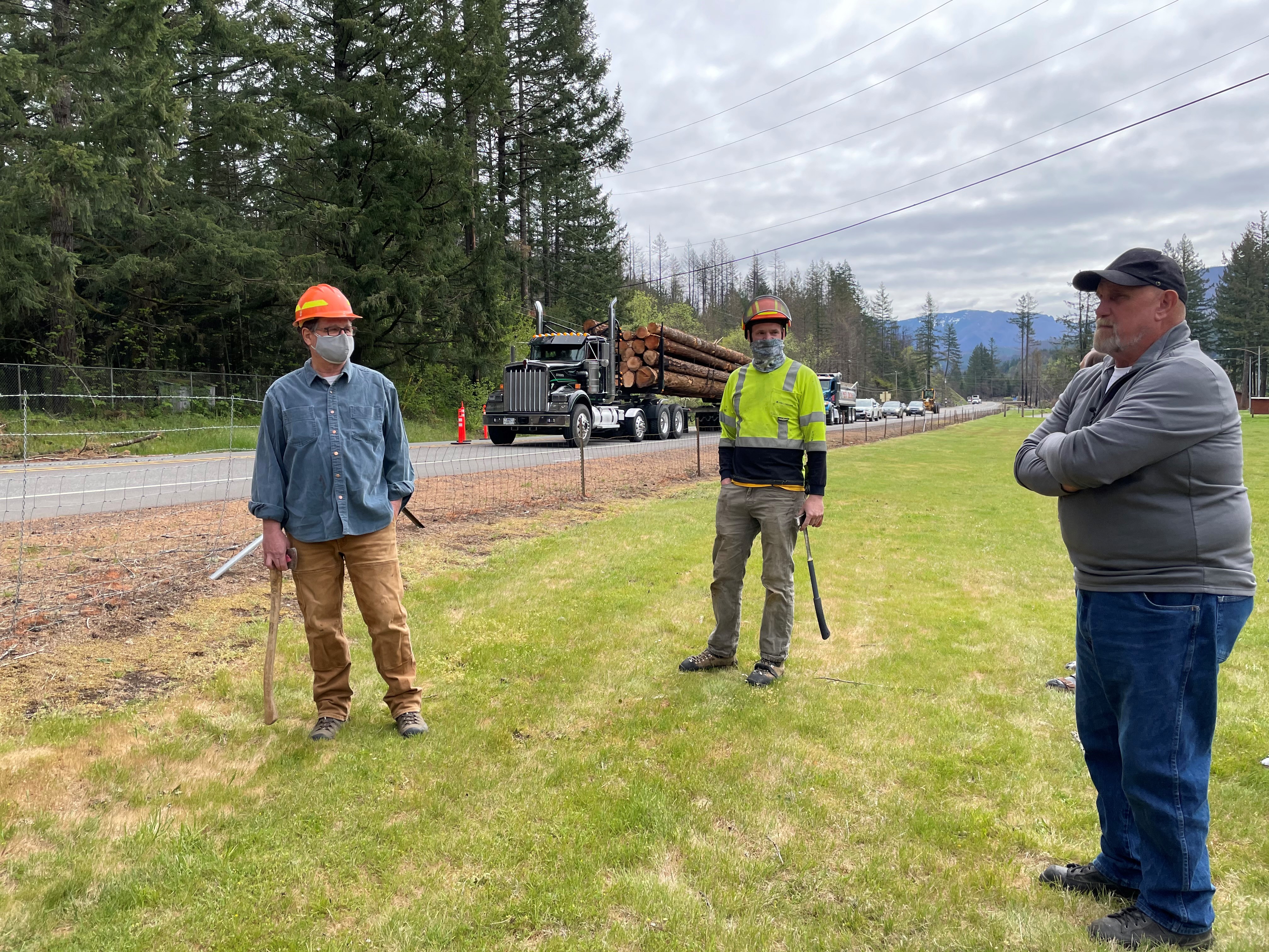 Experts scrutinize Oregon's troubled hazard tree removal project - OPB