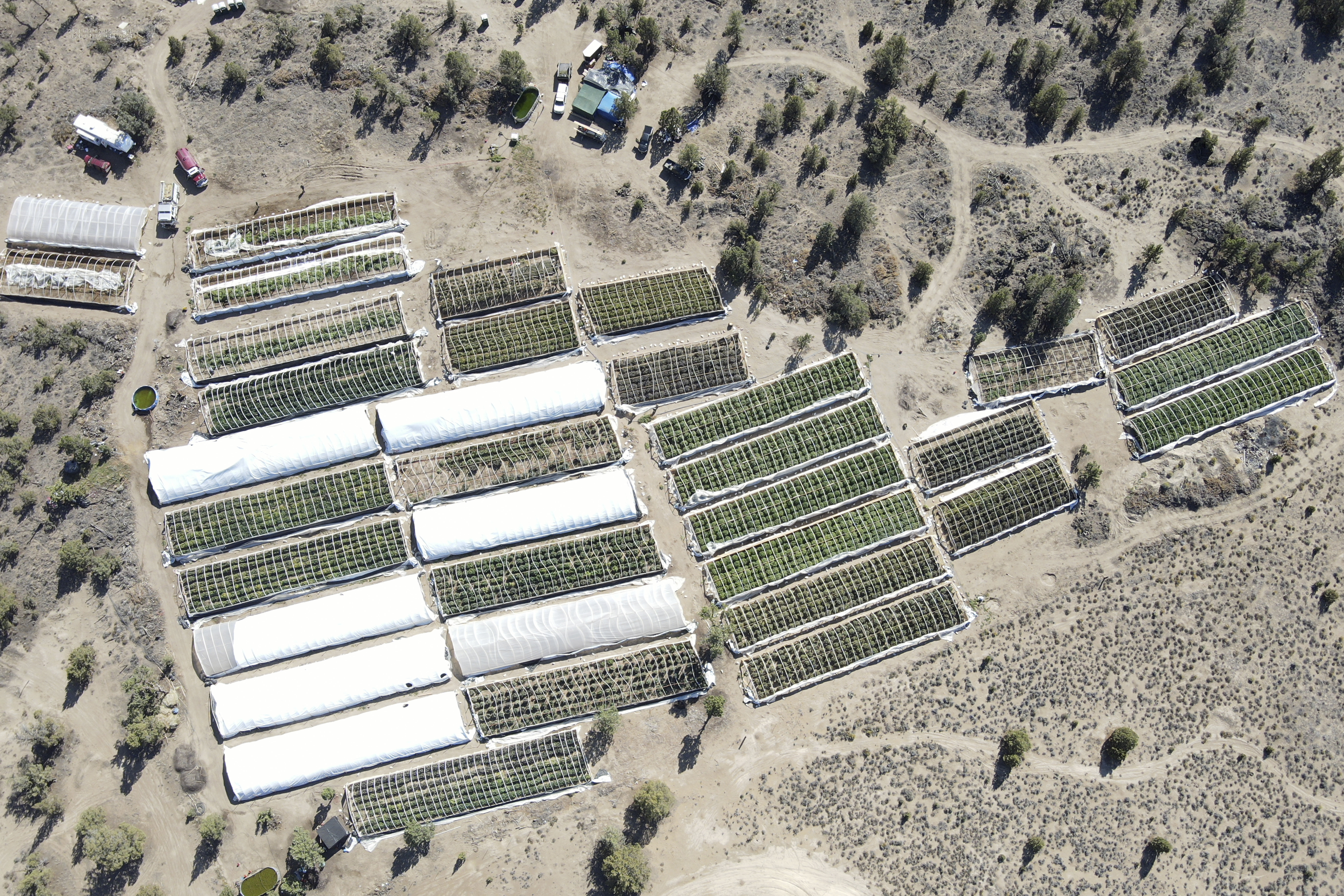 A cannabis grow is seen on Sept. 2, 2021, in an aerial photo taken by the Deschutes County Sheriff's Office in the community of Alfalfa, Ore.