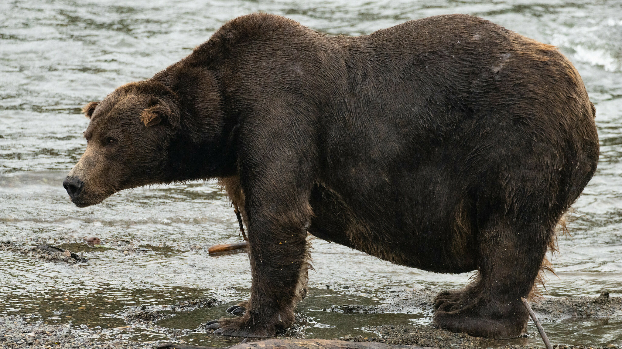 What was most encouraging after the Bears' Week 1 win?