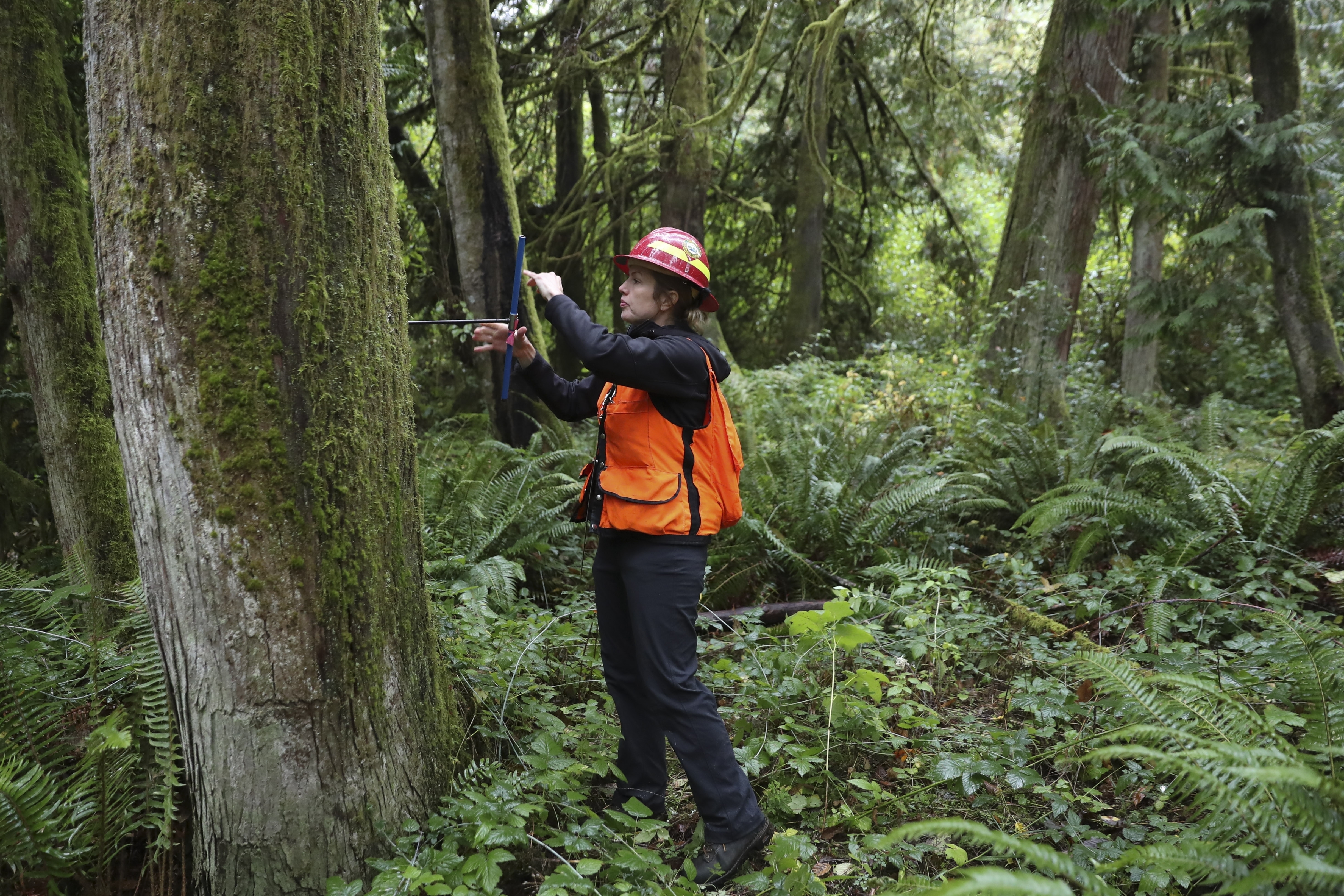 What would high speed rail mean for the Pacific Northwest? - OPB