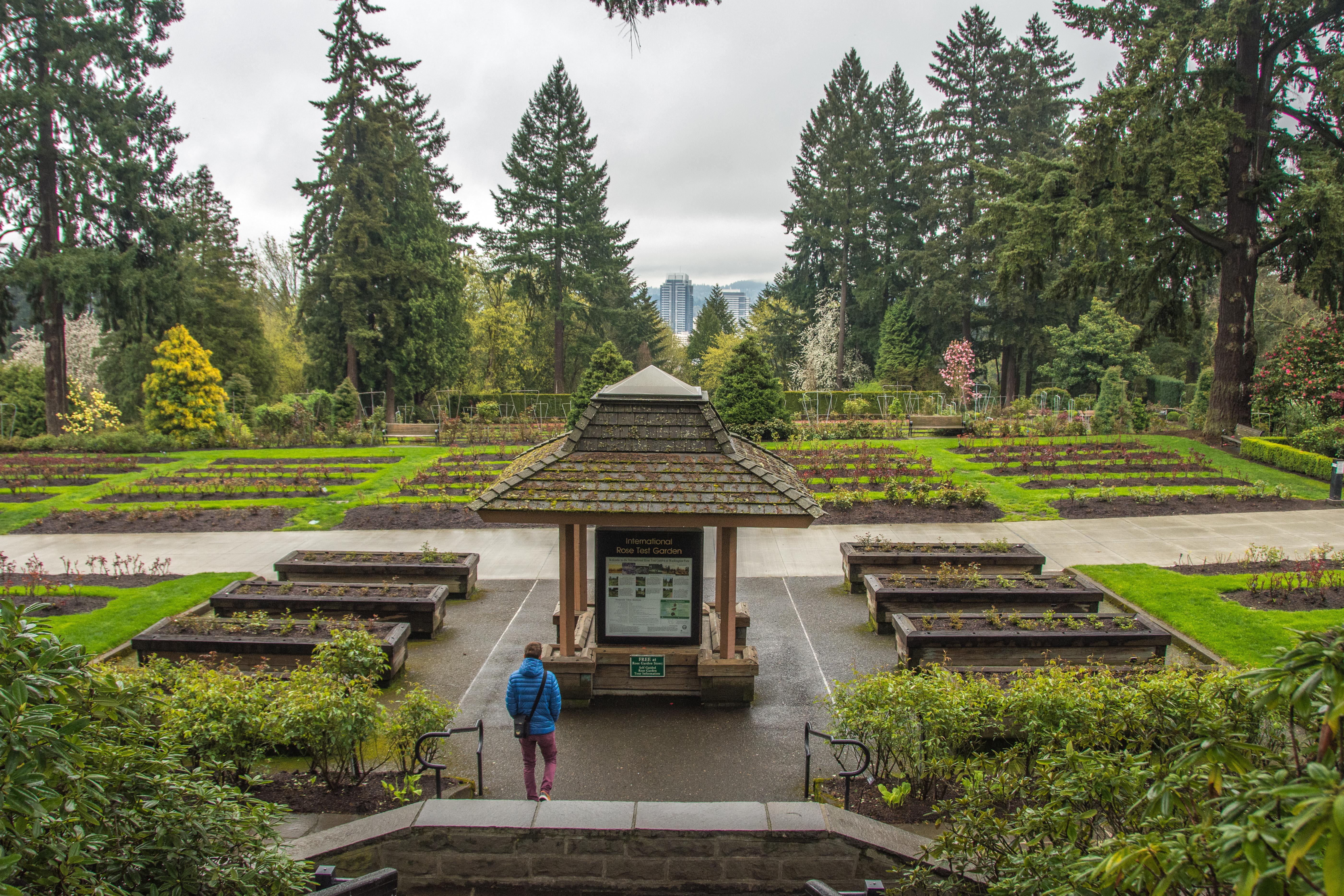 Are Dogs Allowed In Washington Park Portland