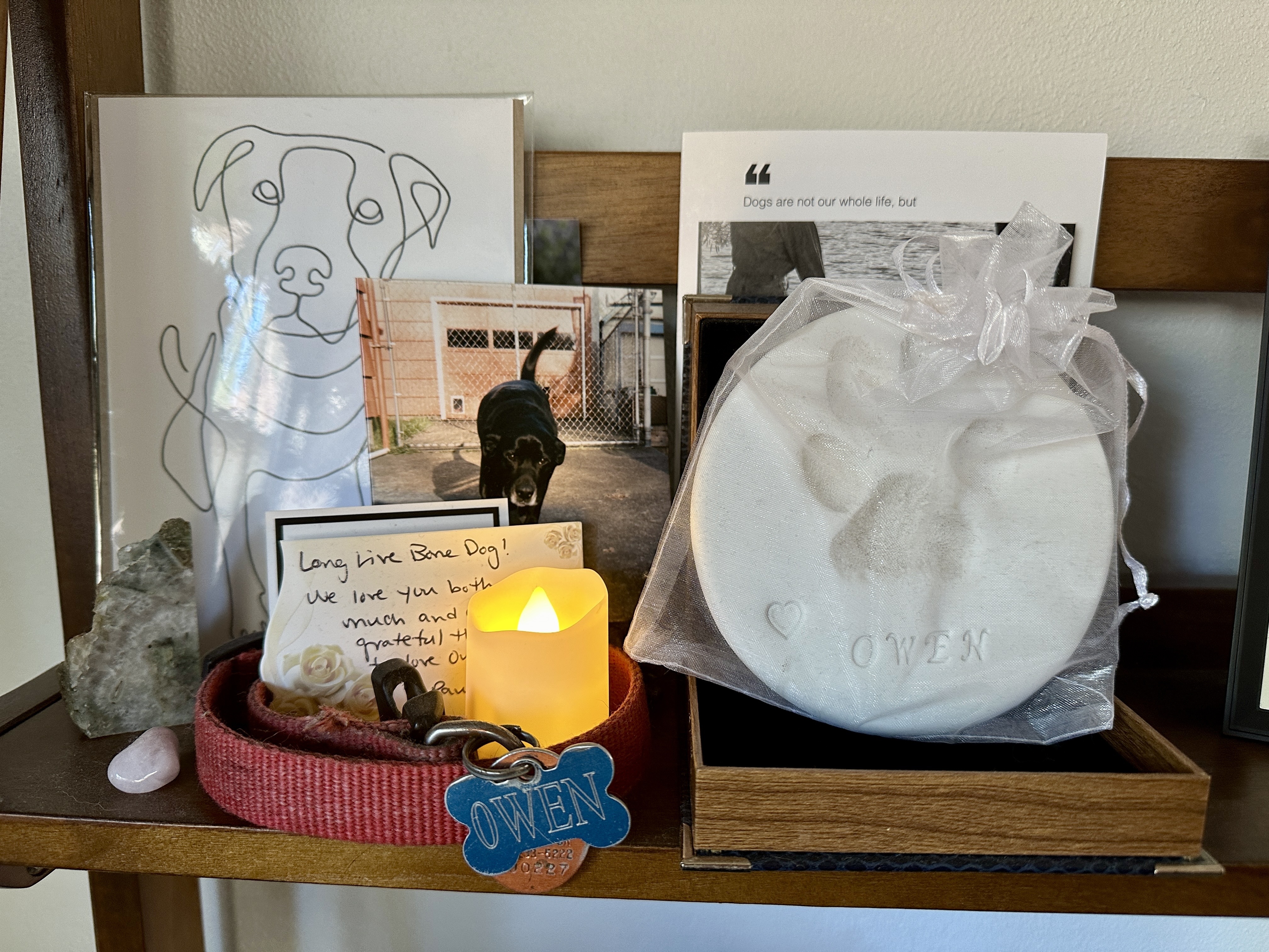 A memorial for Owen sits on a shelf in Crystal Ligori's living room. Owen passed away in December 2023 and was the impetus for the reporting of this story.
