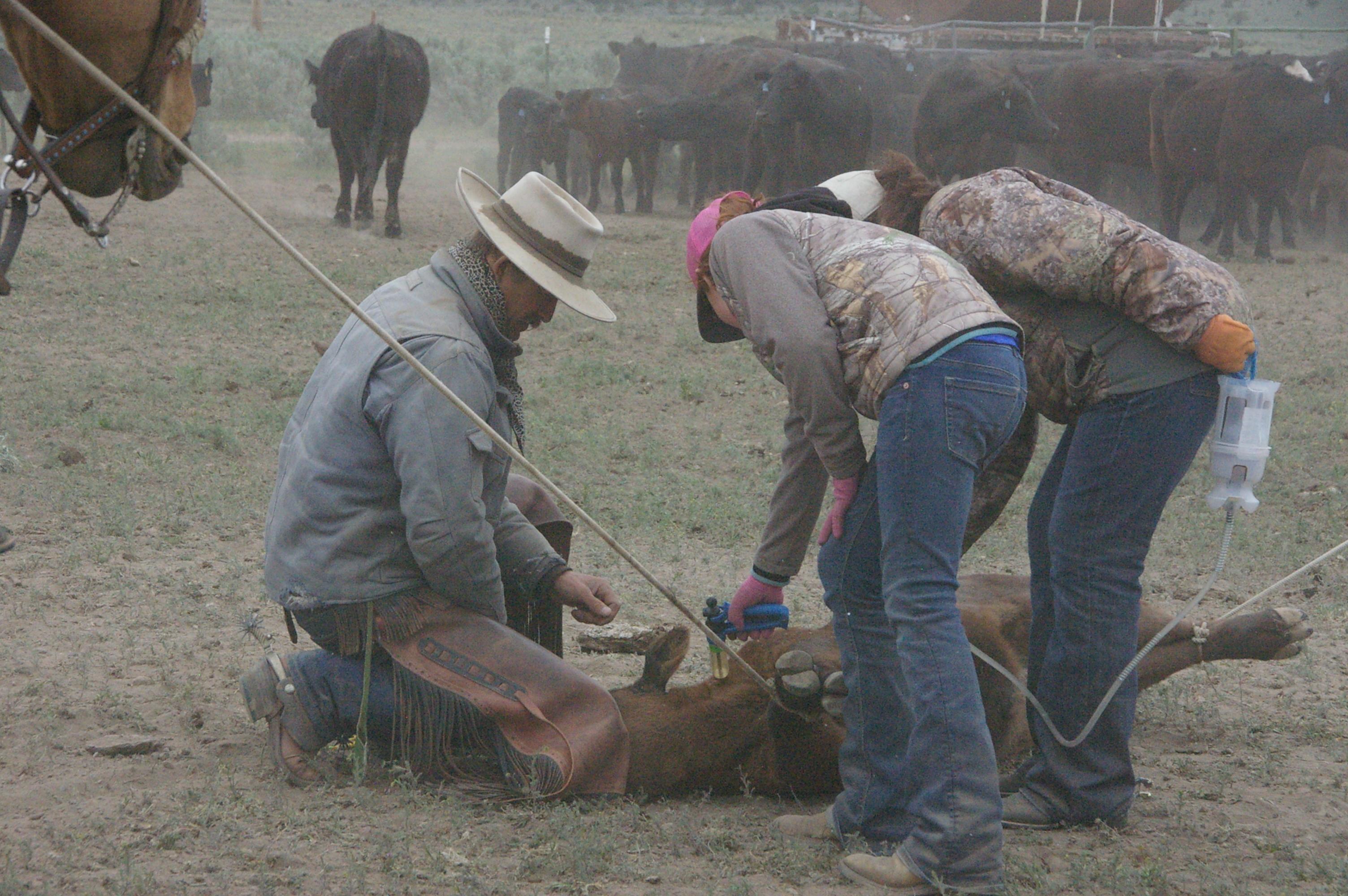 You don't have to rope cattle to be a cowboy' – ranchers on