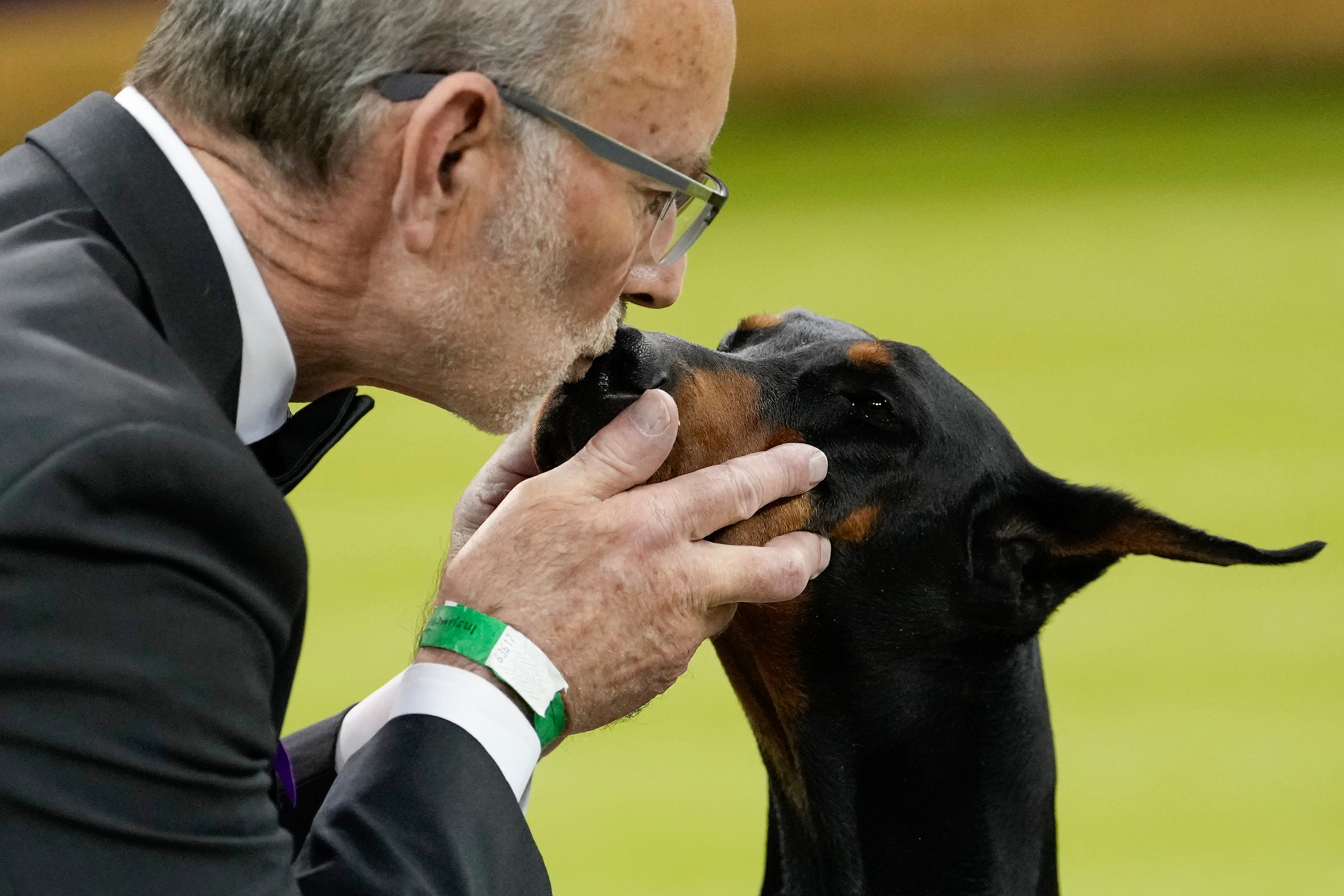 Doberman pinscher led by Clark County dog handler takes best in