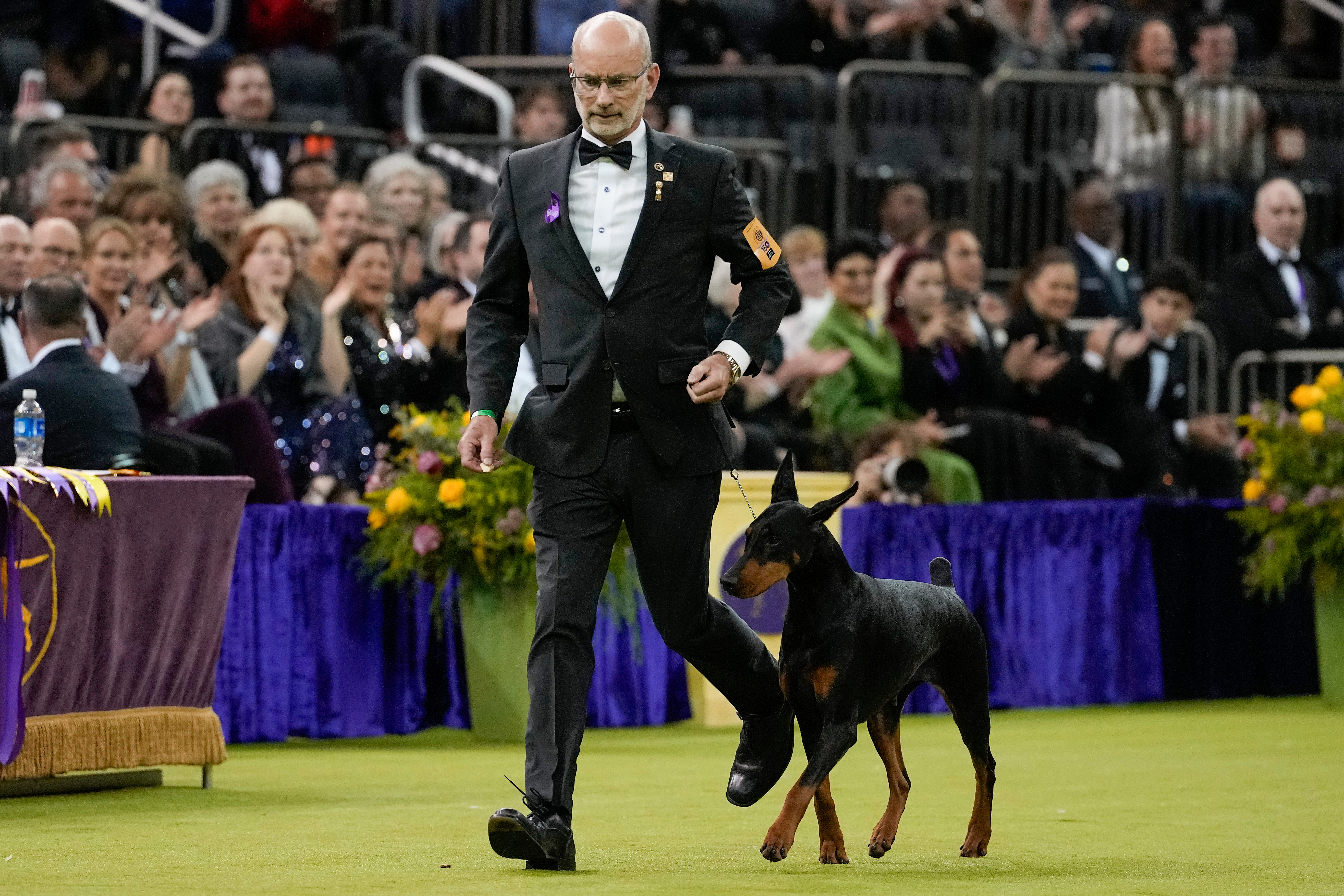 Doberman pinscher led by Clark County dog handler takes best in