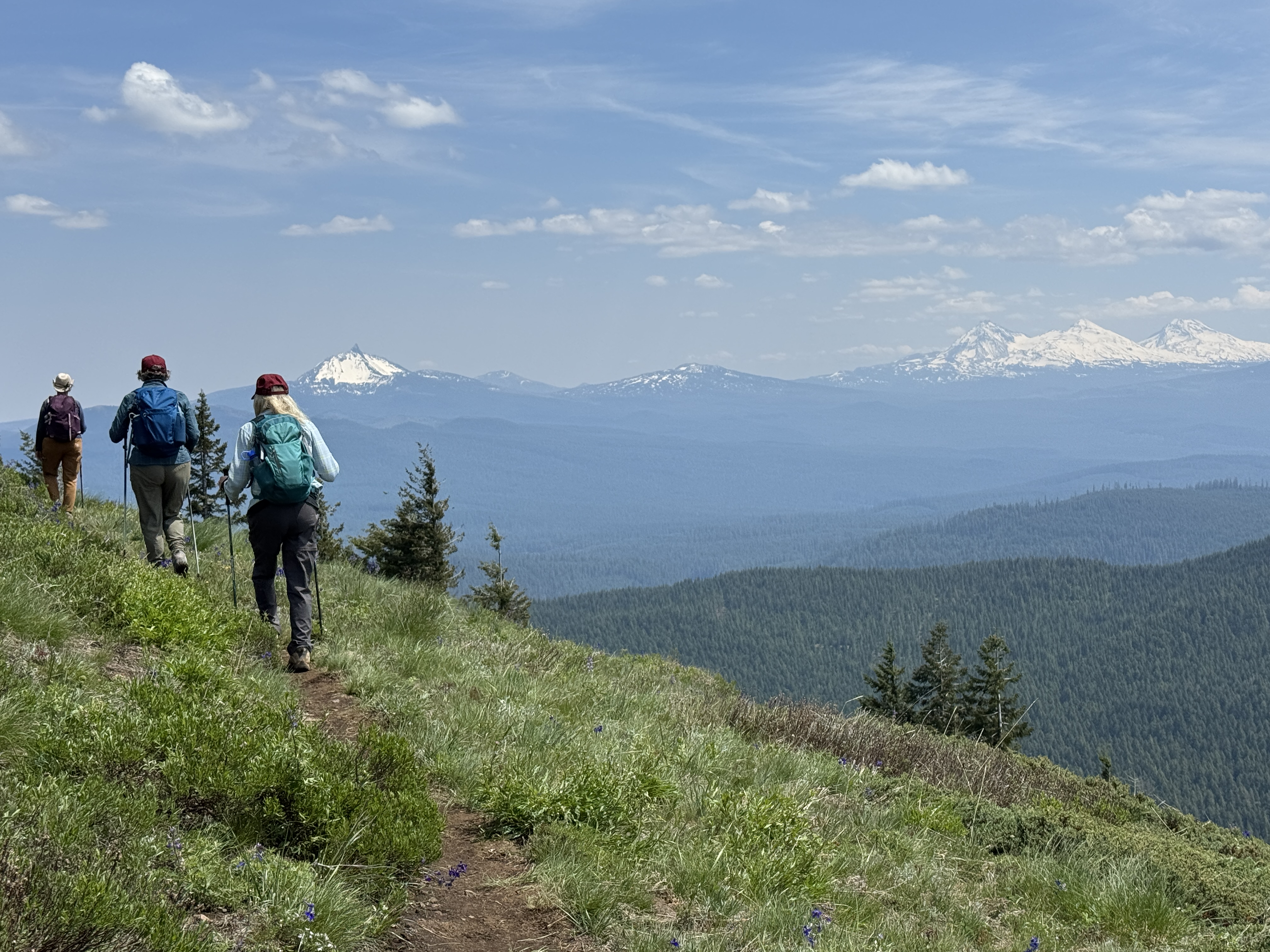 Echo Mountain, northwest of Eugene, is among areas where new roads have been banned for more than two decades because of a policy known as the roadless rule. The U.S. Forest Service proposed rescinding that rule in August 2025, and gave the public about a month to provide input.