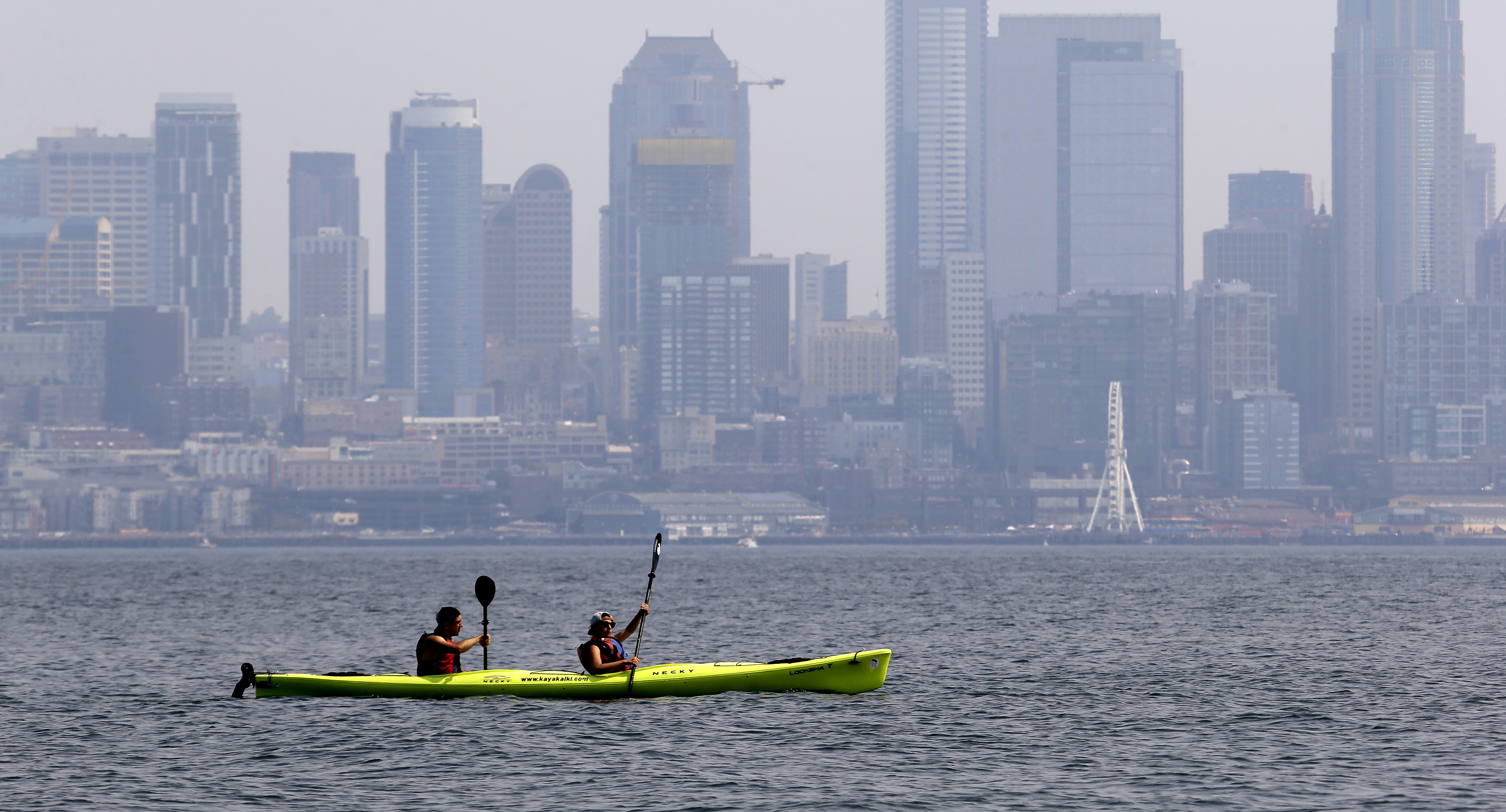 Paddle borders on a body of water in Seattle, Washington.