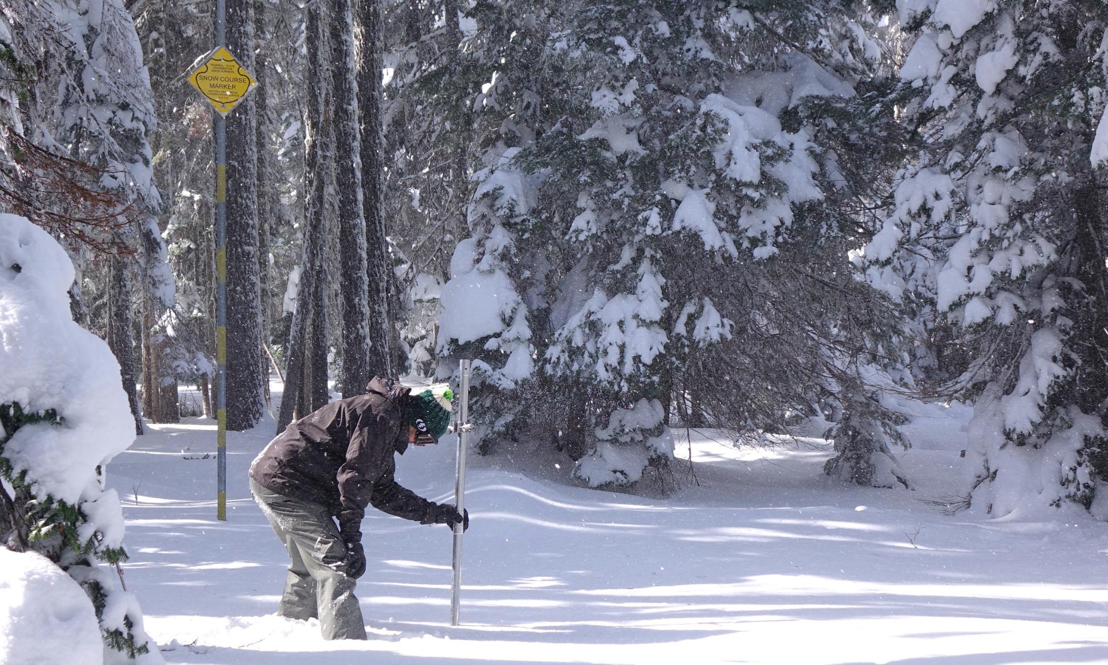 oregon snow levels