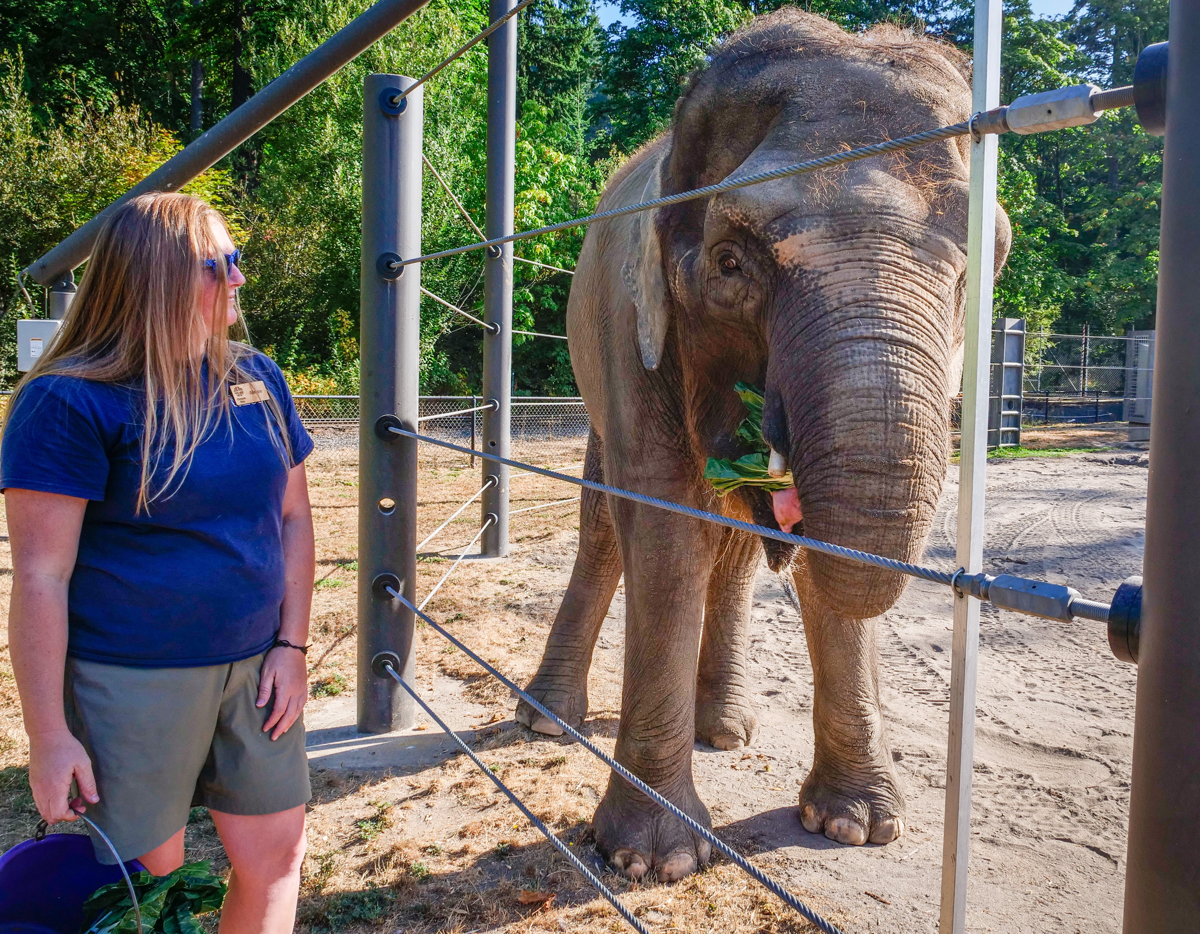 Oregon Zoo Animal Encounters