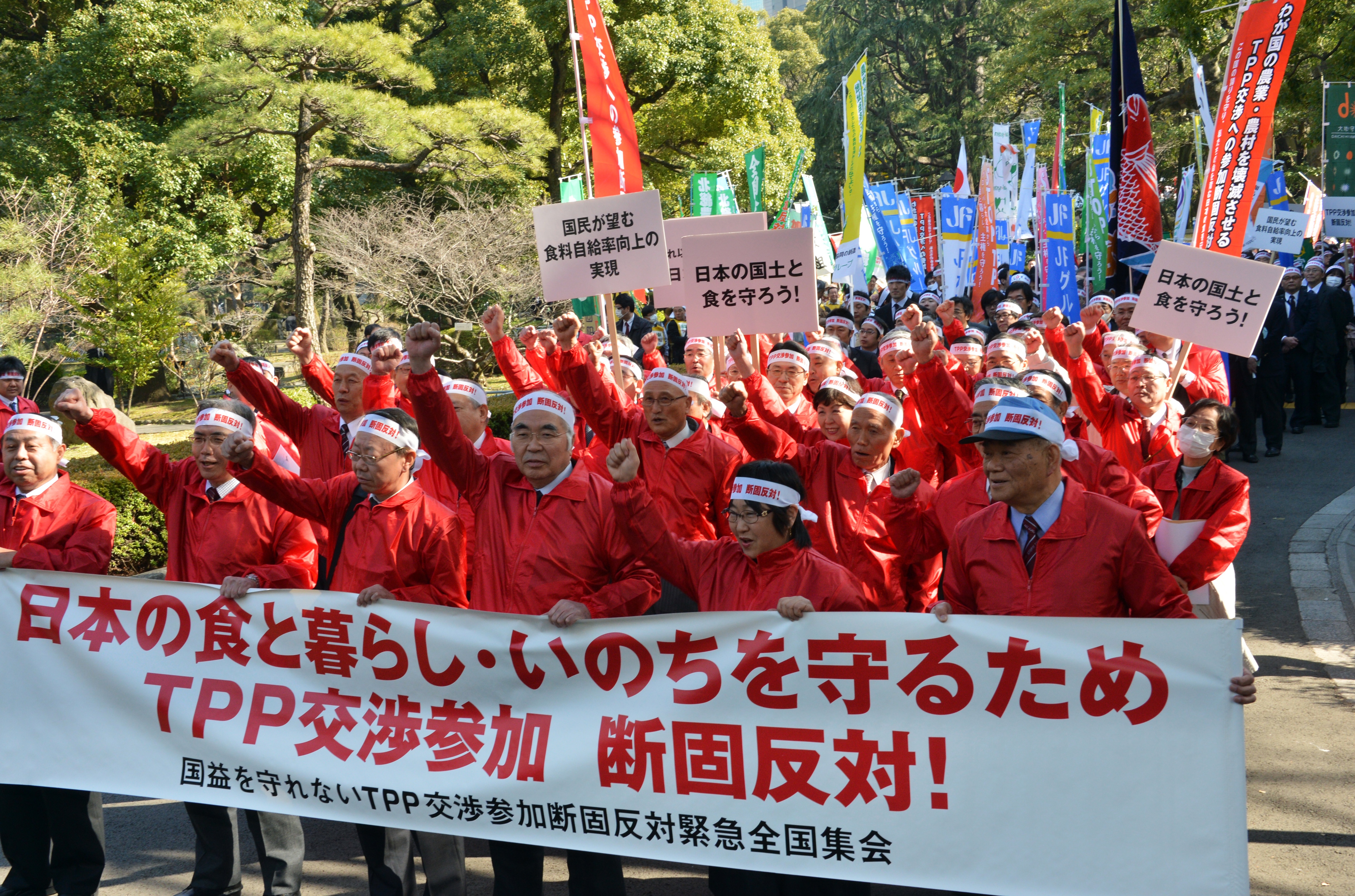 Akira Banzai, (C) chief of Japan's farmers association and their members gesture as they protest against the Trans-Pacific Partnership (TPP) free trade talks at a rally in Tokyo on March 12, 2013, when Prime Minister Shinzo Abe was expected to announce he would join TPP negotiations that week.