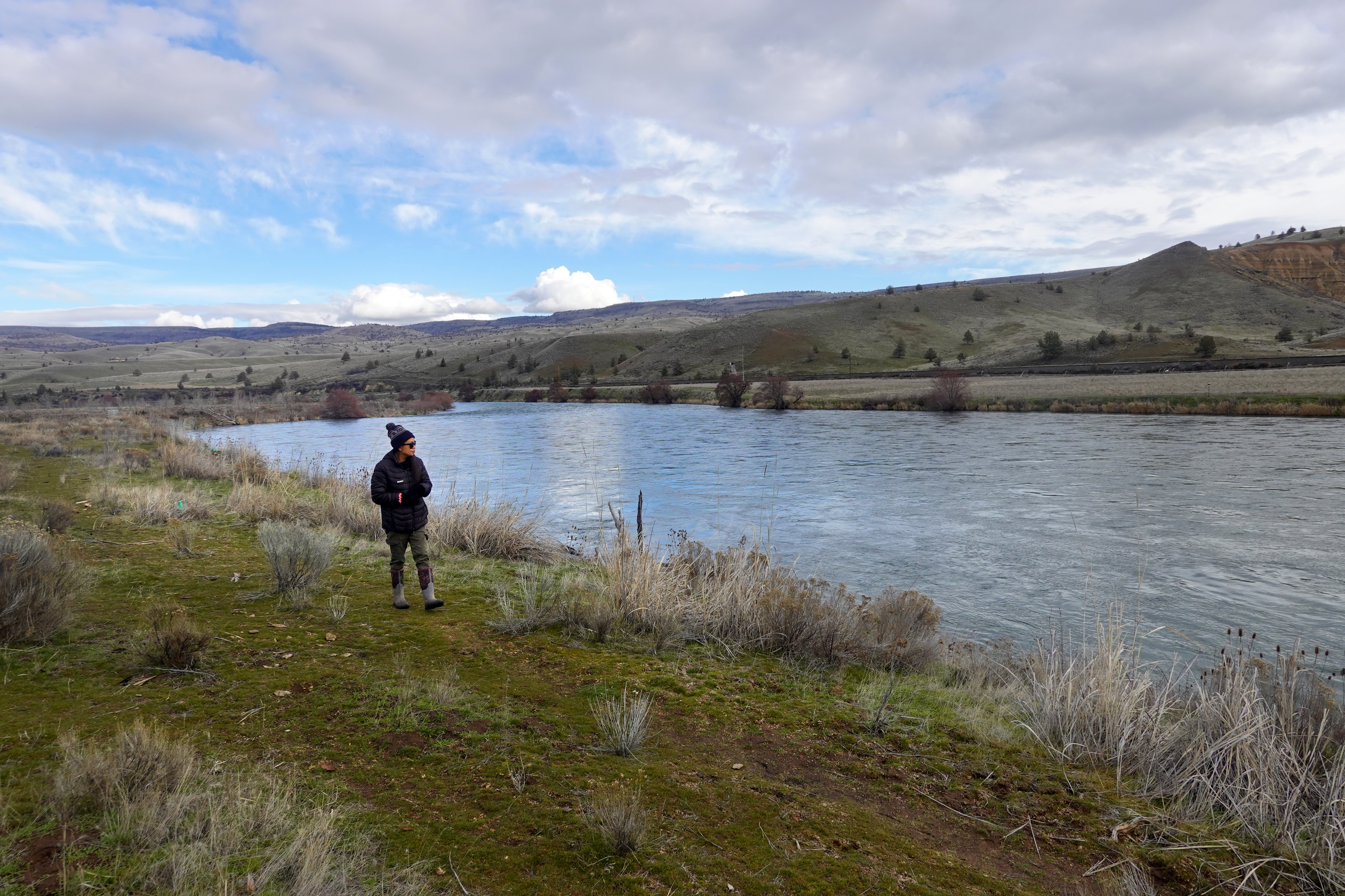 FILE - Alysia Klick'ump walks along a bend of the lower Deschutes River through the Warm Springs Reservation, checking on the saplings she and others replanted after wildfires, on Feb. 2, 2024. She was recently appointed to represent Zone 1 on the Jefferson County Soil & Water Conservation District.