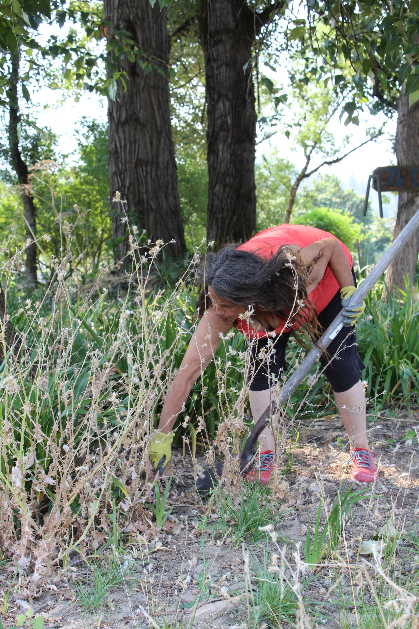 Camper Kris Martin putting in her daily three hours of work on Elk Island on July 16, 2025.