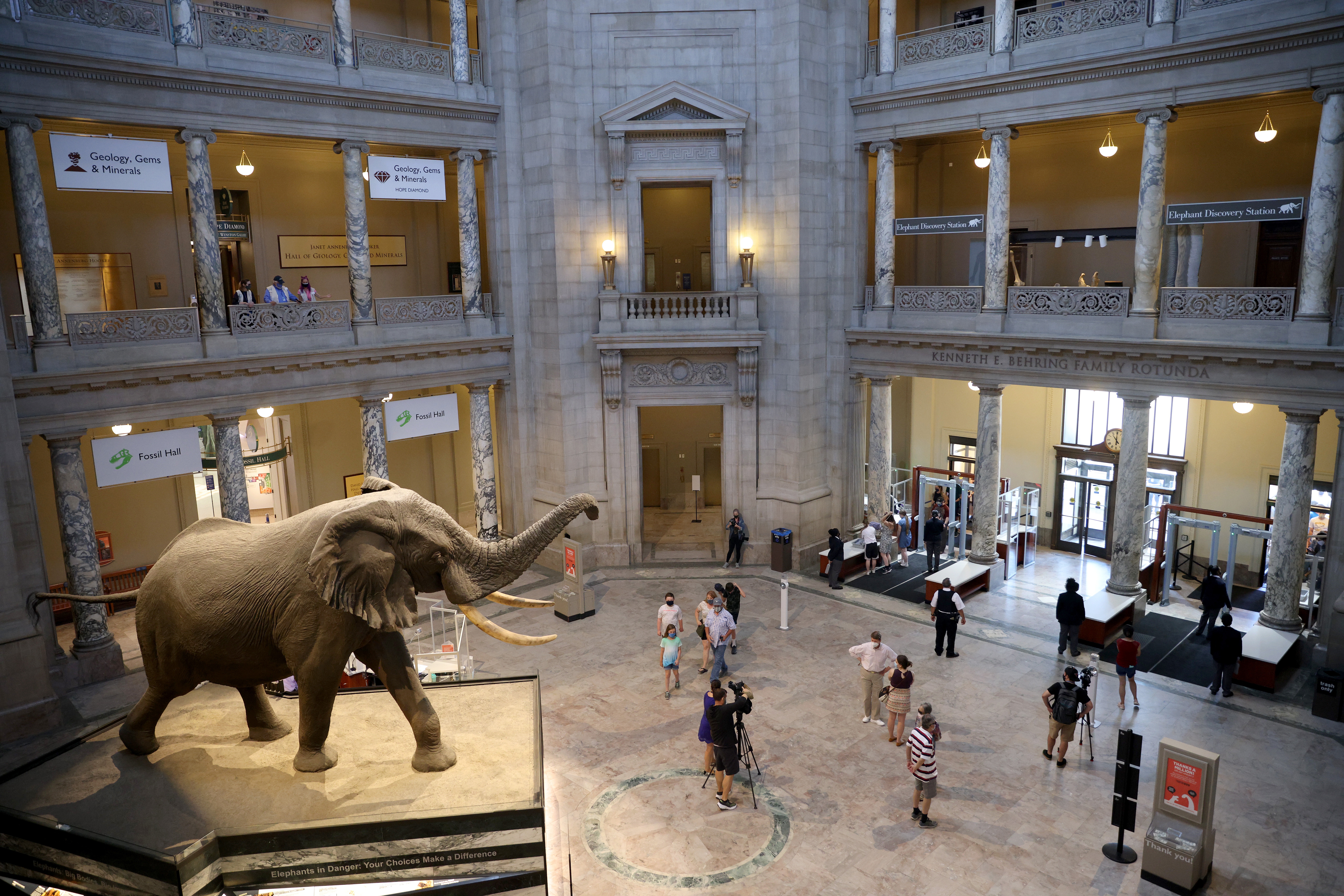 Visitors return to the Smithsonian National Museum of Natural History after the museum was closed for over 400 days due to the pandemic June 18, 2021 in Washington, DC.