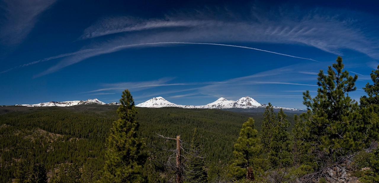 50 Square Miles Of Central Oregon Forest Go Up For Sale - OPB